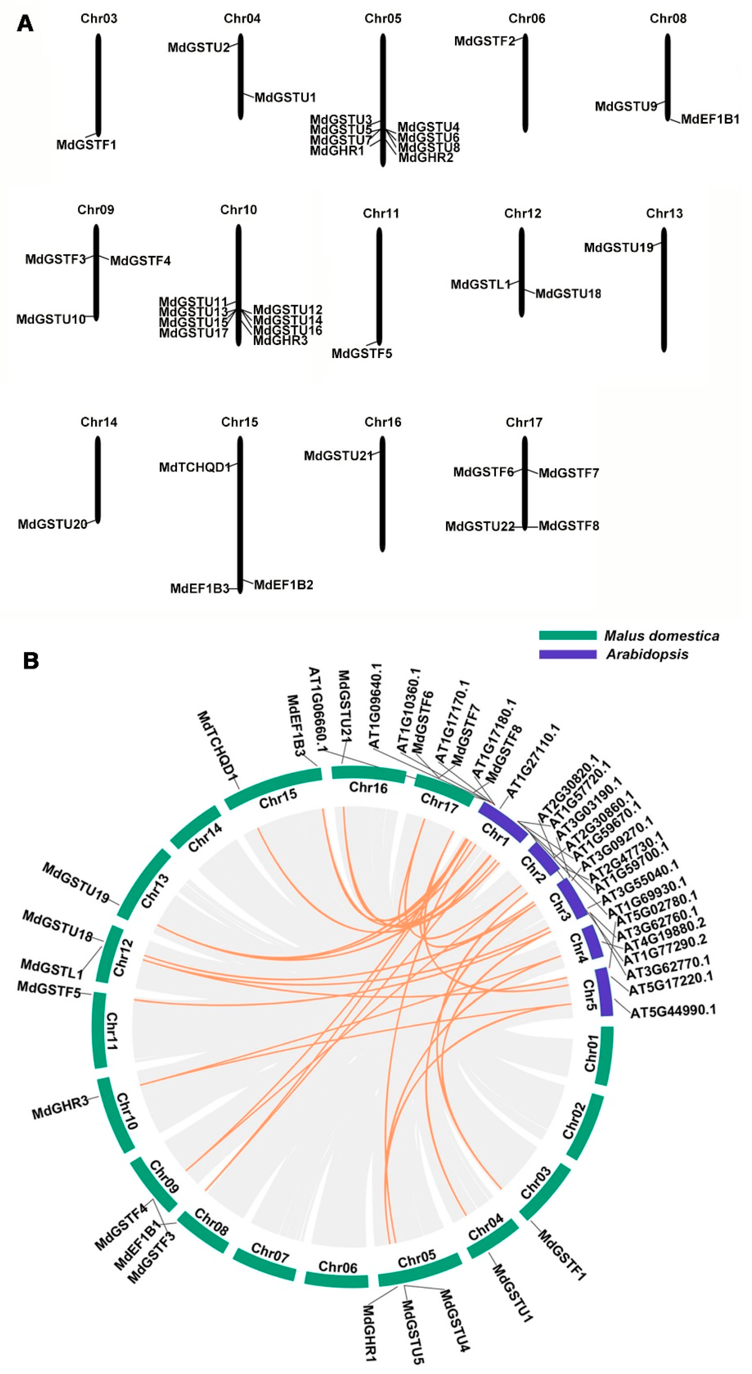 Genes 12 01733 g002