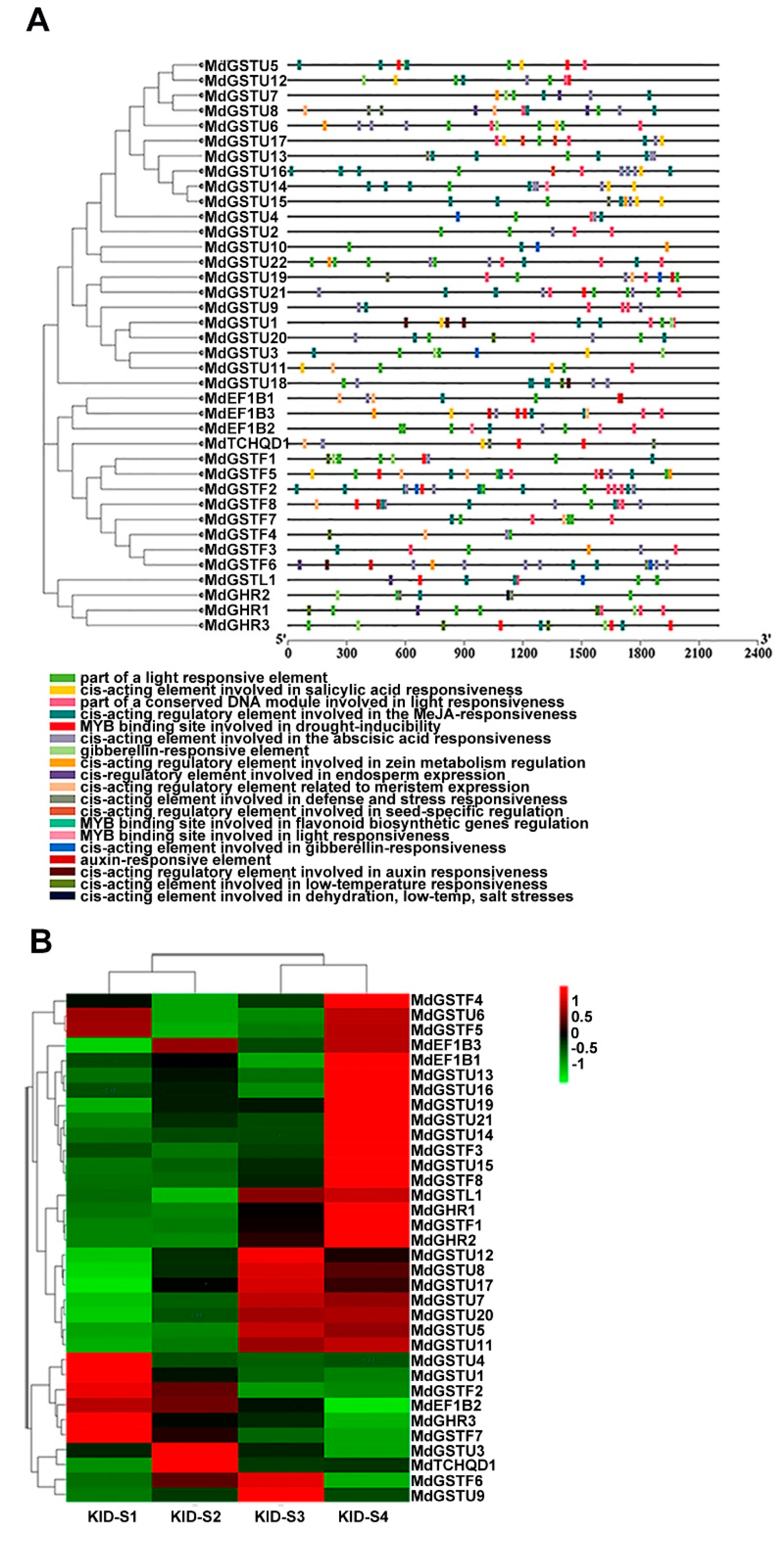 Genes 12 01733 g003