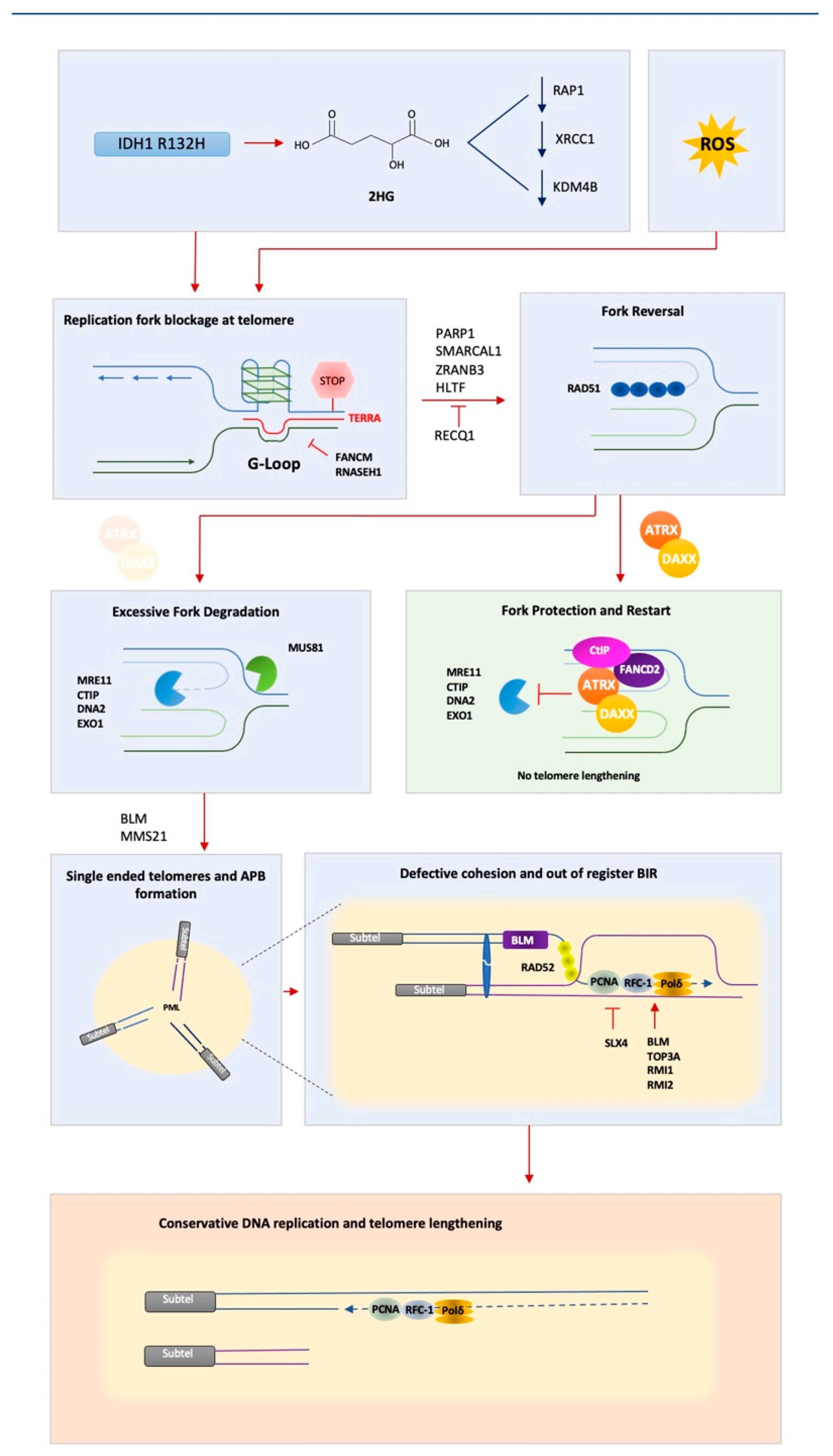 Genes 12 01734 g001