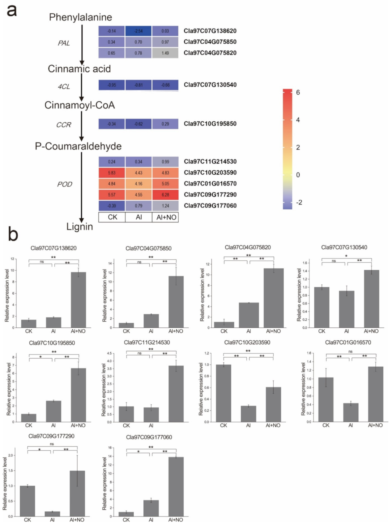 Genes 12 01735 g009