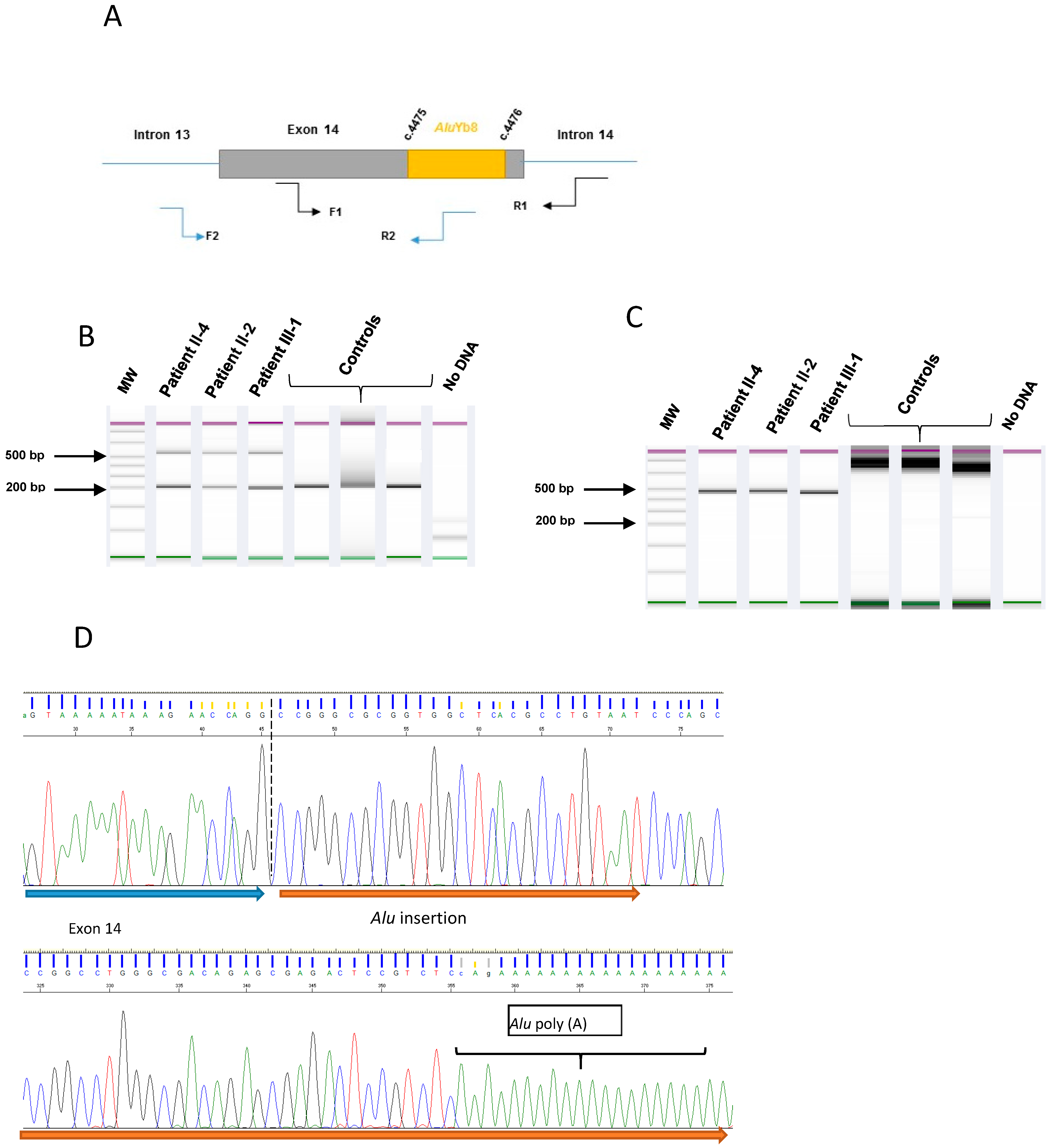 Genes 12 01736 g002 550