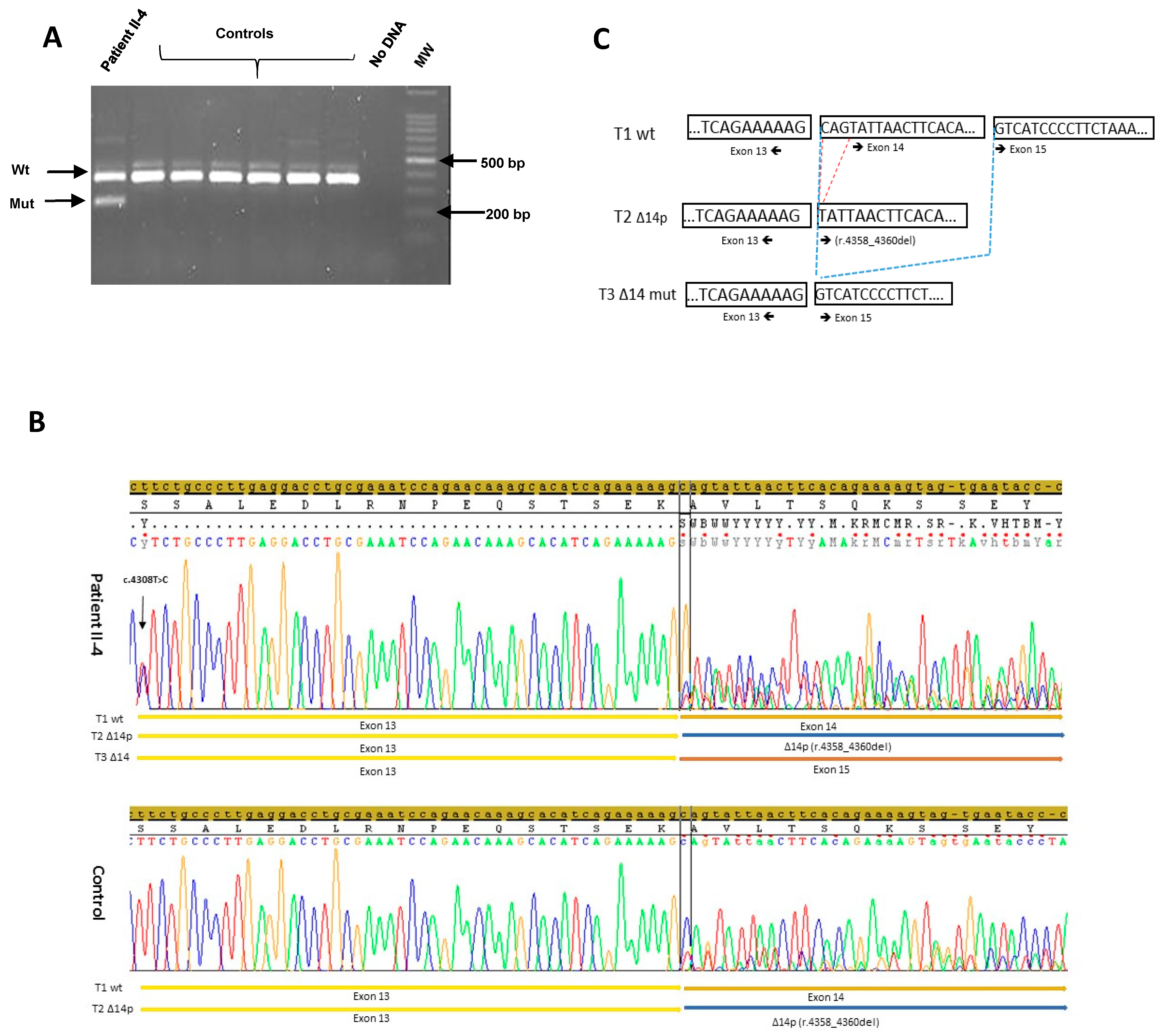 Genes 12 01736 g003 550