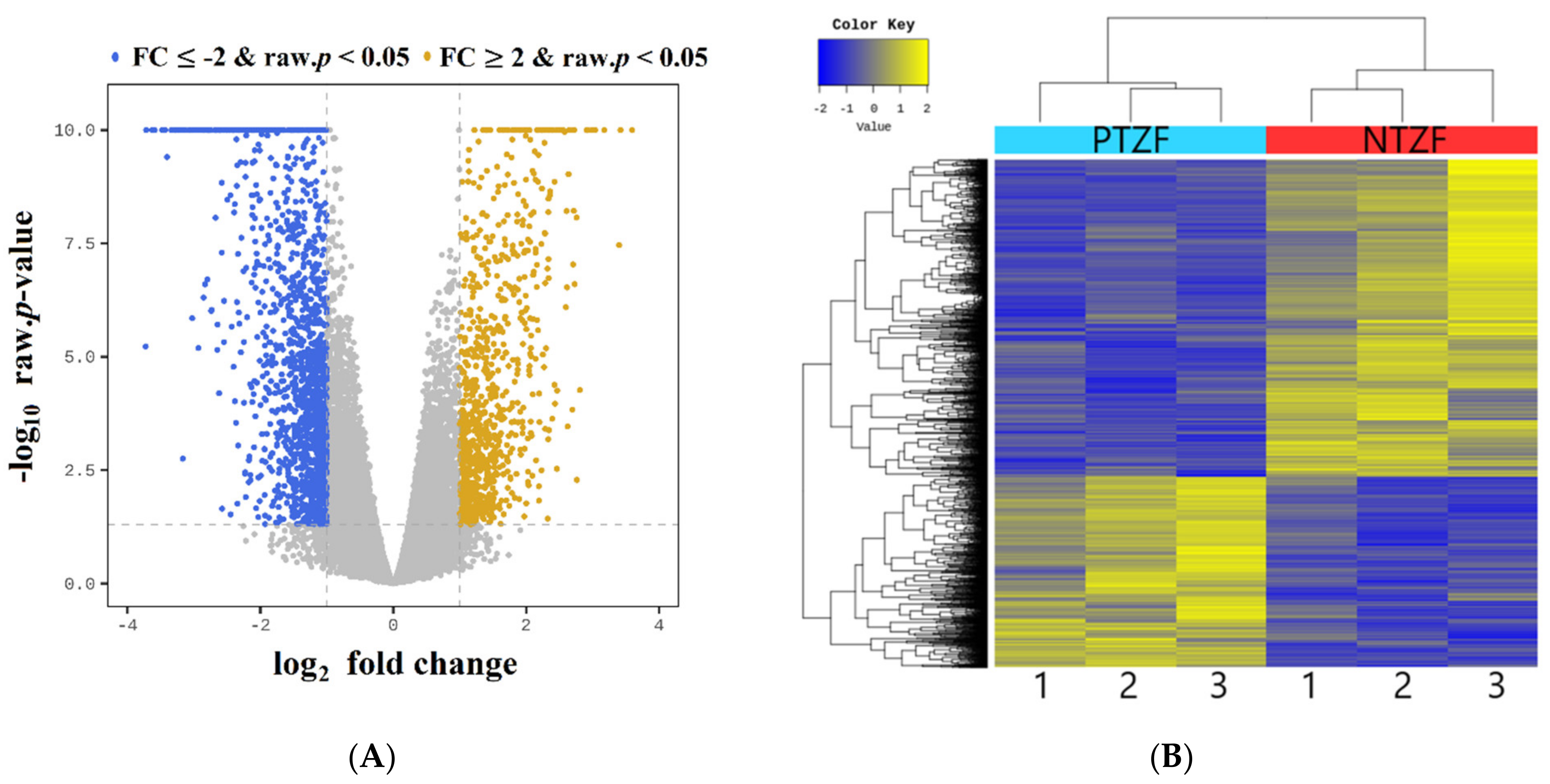 Genes 12 01738 g004 Genes 12 01738 g004