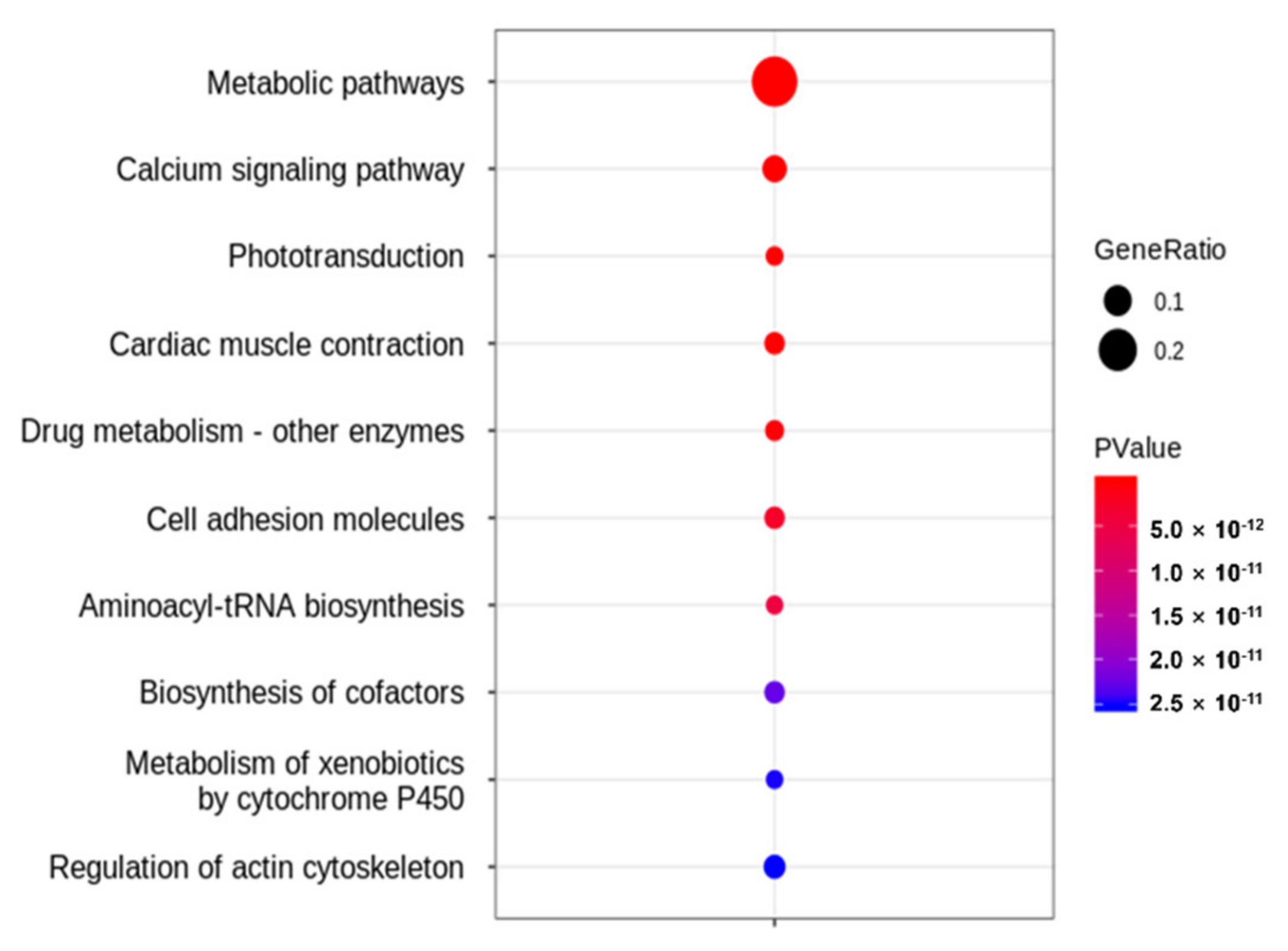 Genes 12 01738 g006 Genes 12 01738 g006