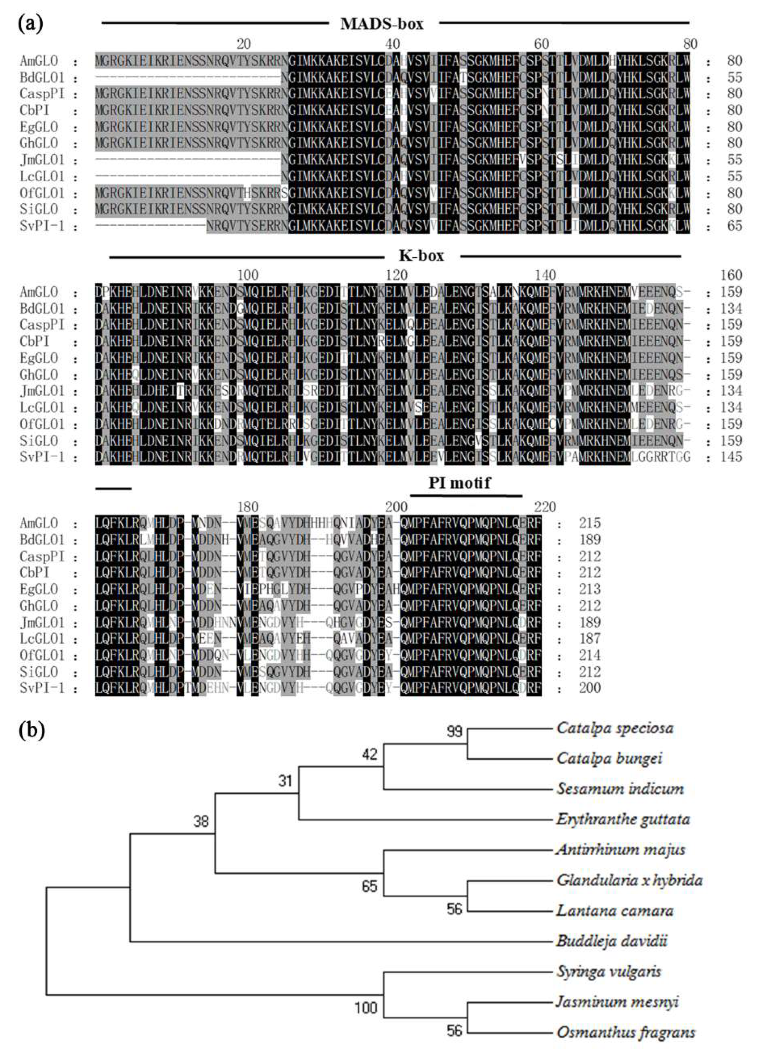 Genes 12 01748 g002 Genes 12 01748 g002