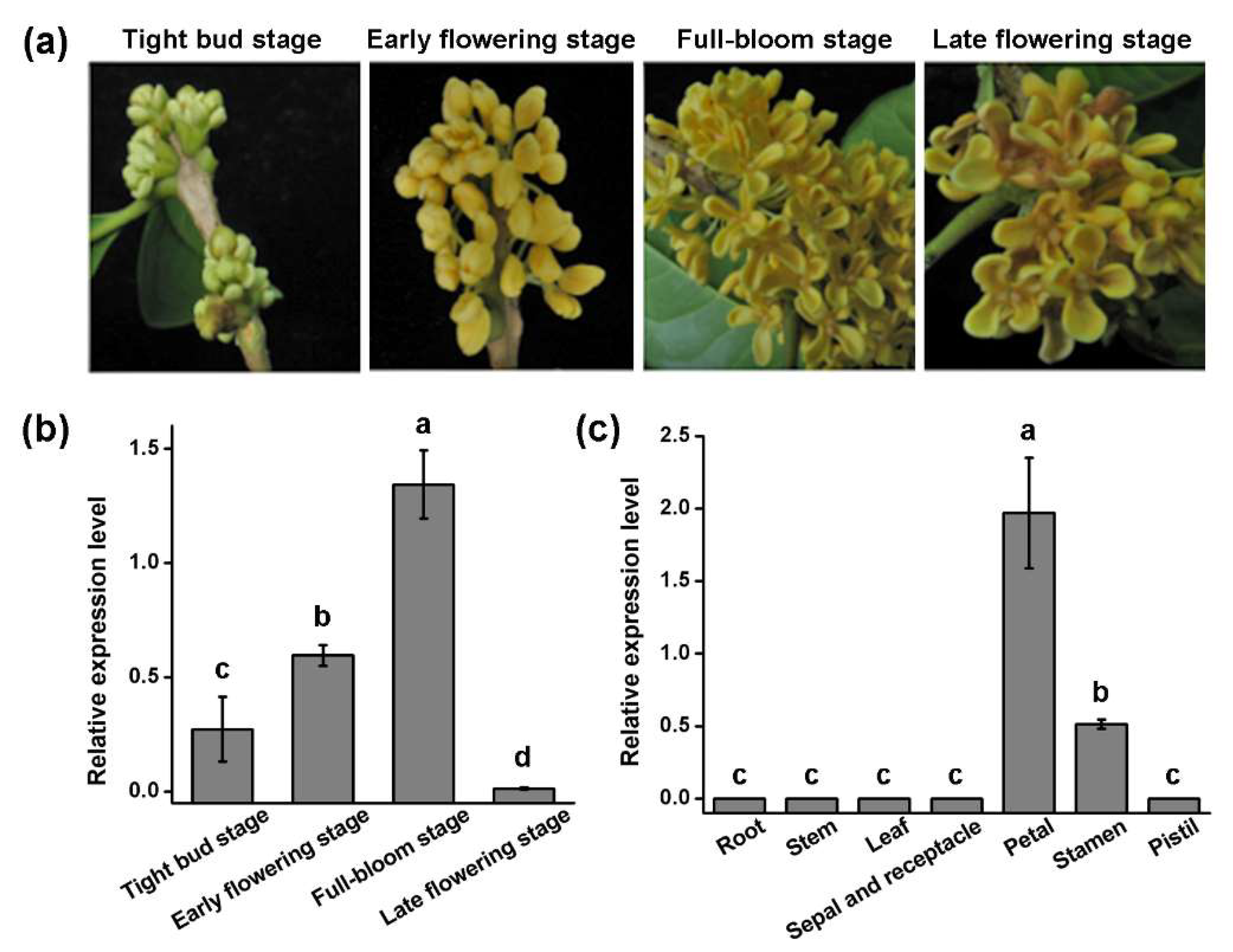 Genes 12 01748 g003 Genes 12 01748 g003