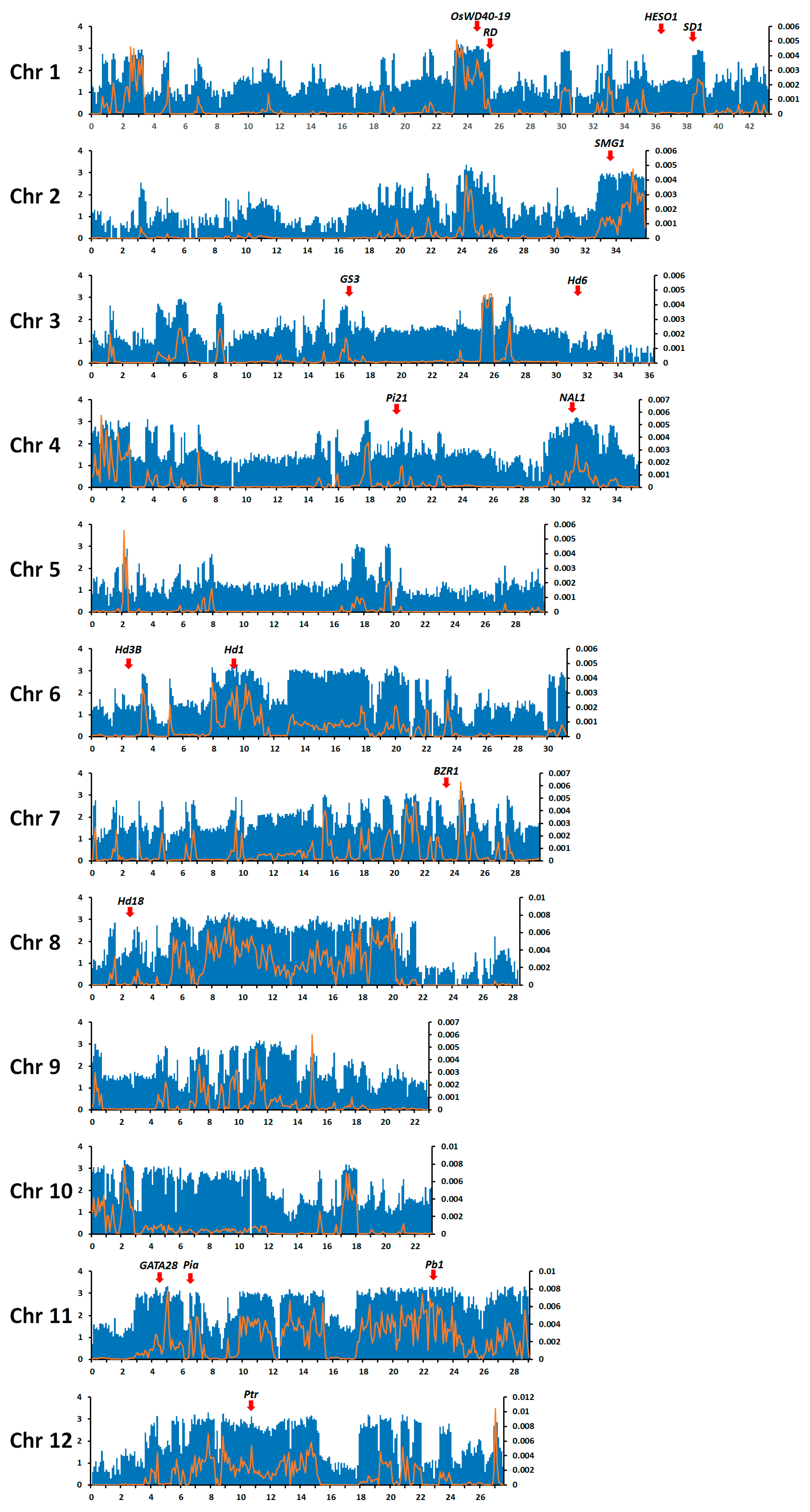 Genes 12 01749 g001 Genes 12 01749 g001