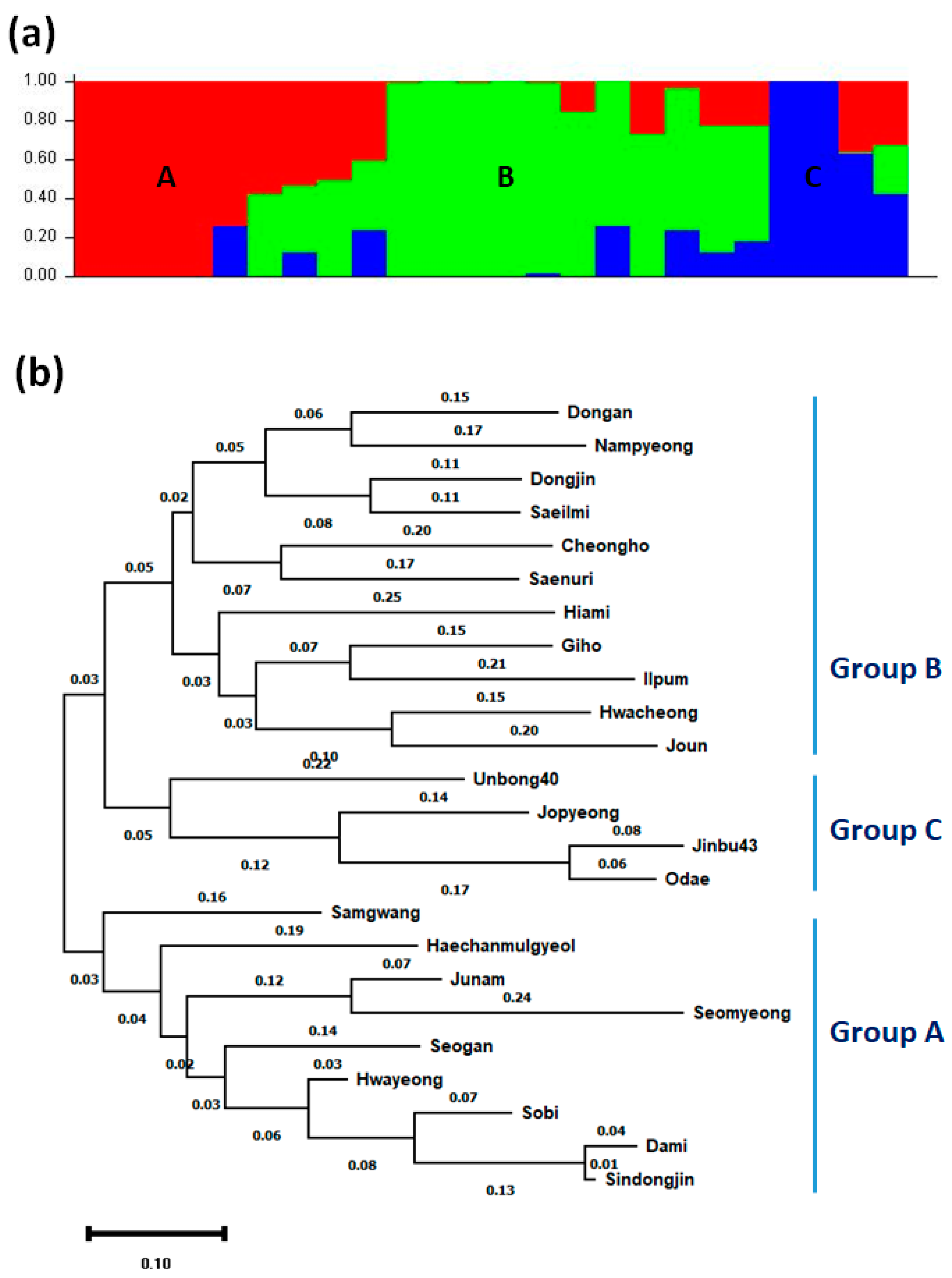 Genes 12 01749 g004 Genes 12 01749 g004