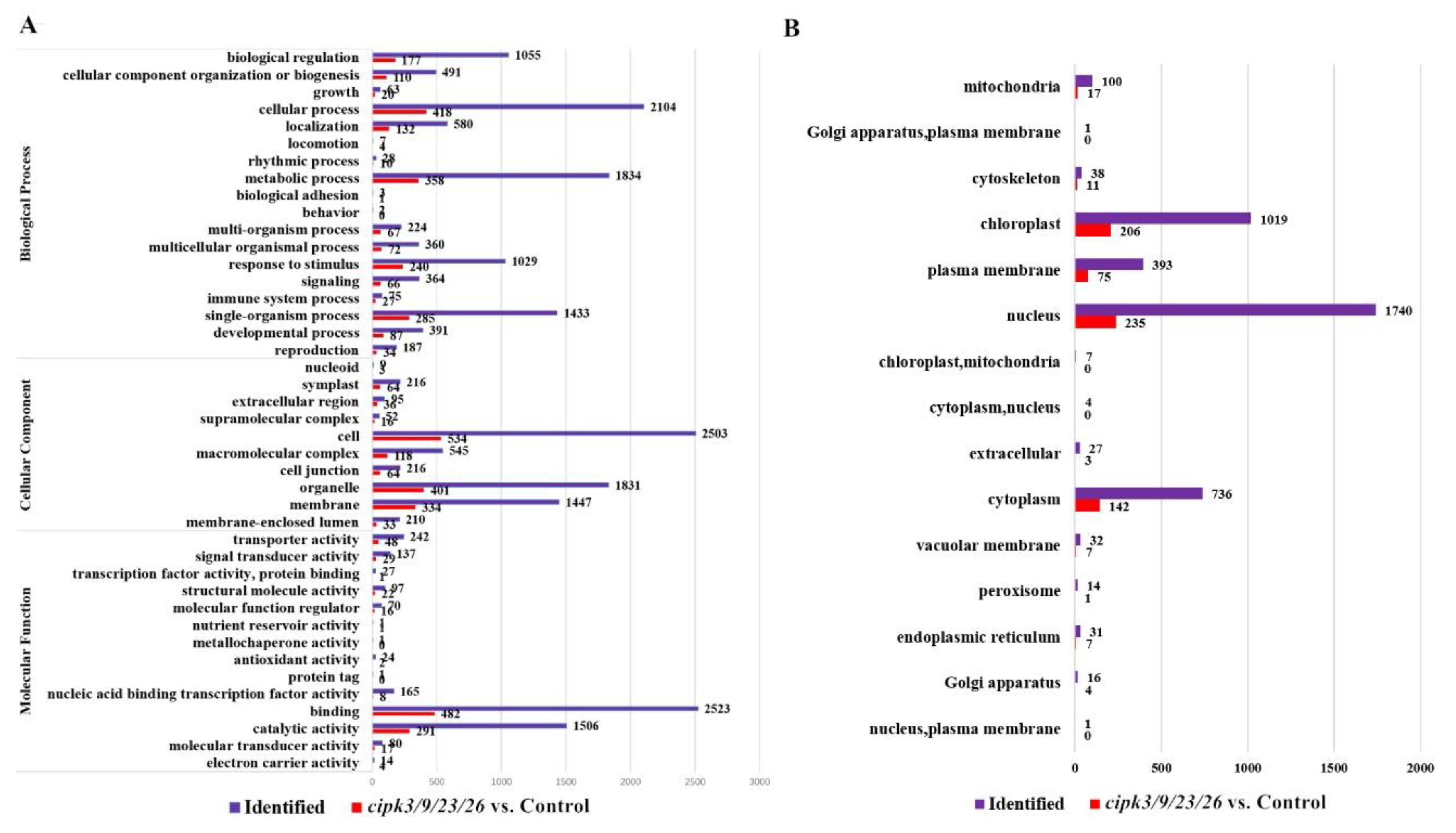 Genes 12 01759 g004