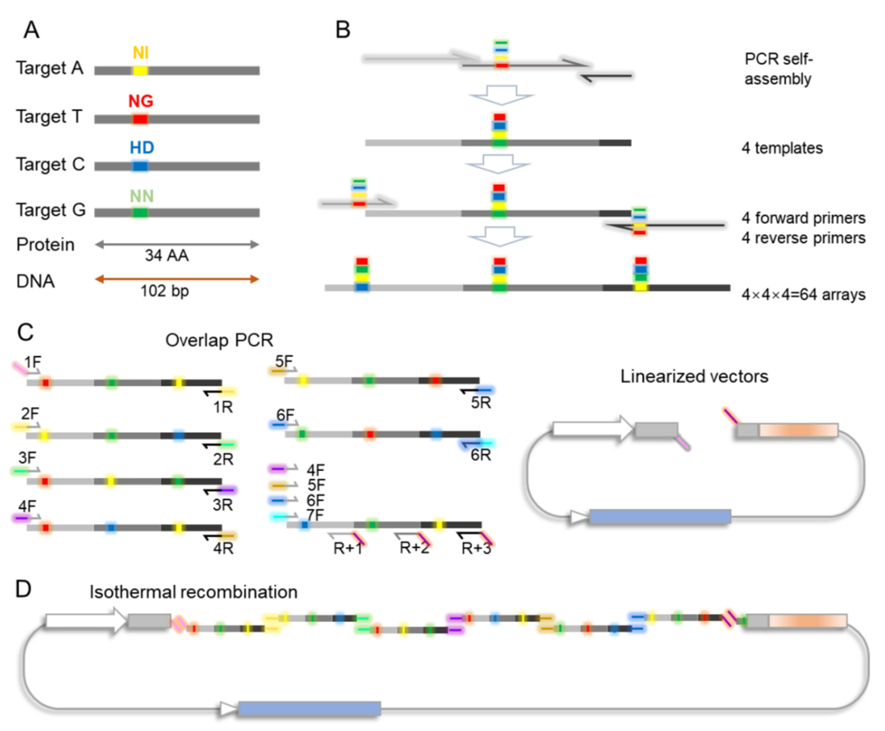 Genes 12 01761 g001