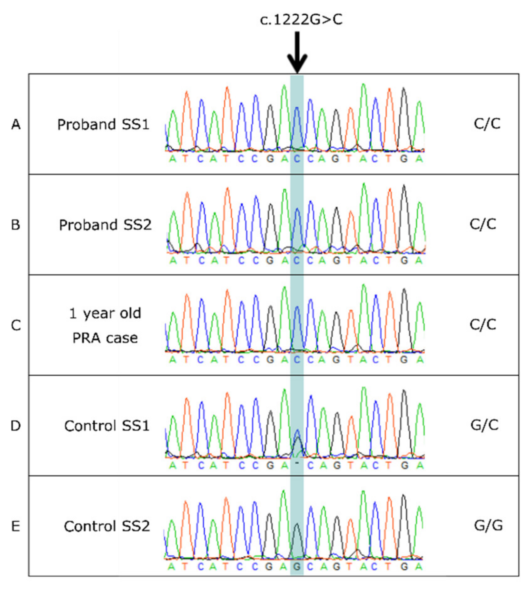 Genes 12 01771 g003 550