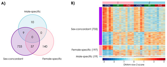 Prenatal Adversity Alters the Epigenetic Profile of the Prefrontal ...