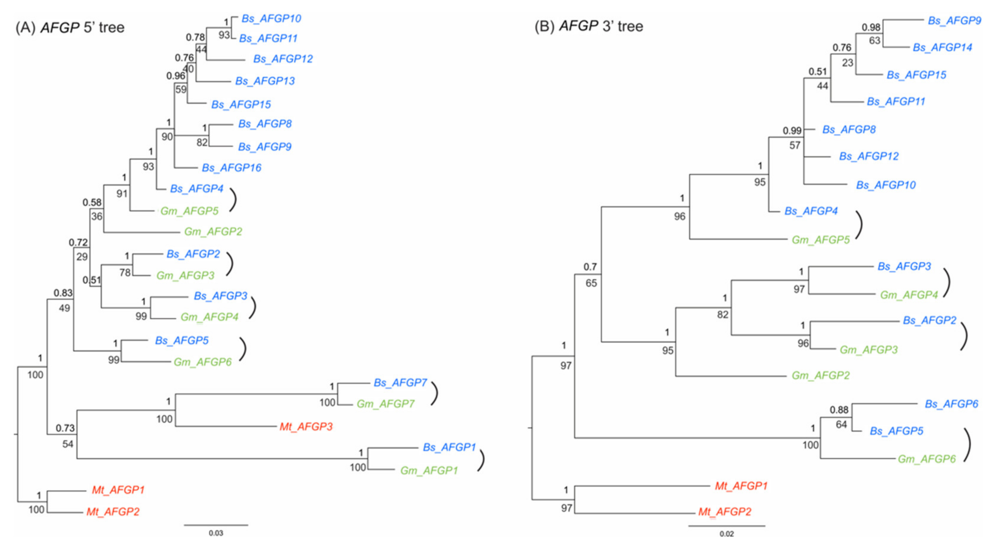 Genes 12 01777 g004 Genes 12 01777 g004