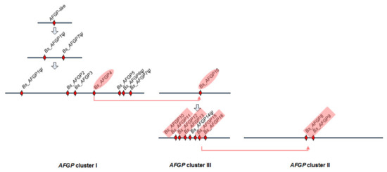 Propagation of a De Novo Gene under Natural Selection: Antifreeze ...