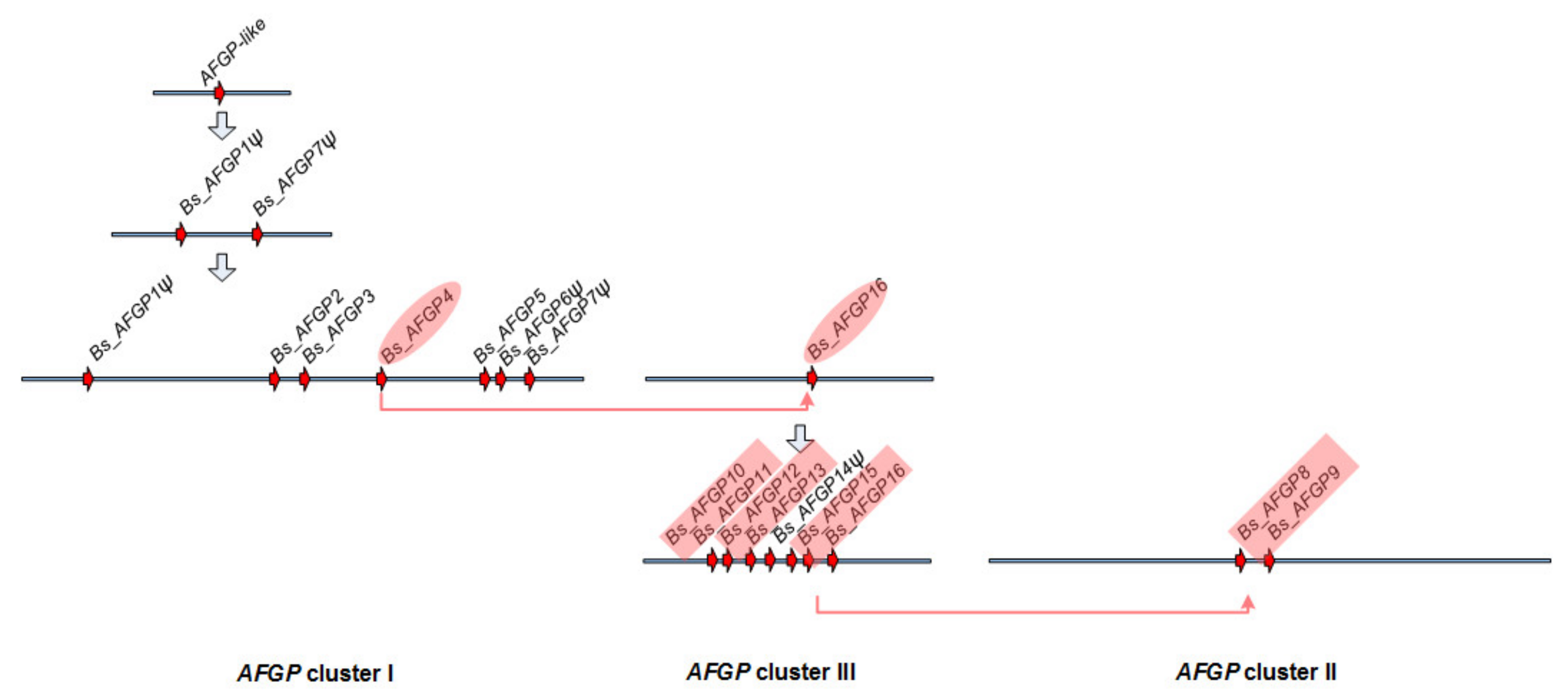 Genes 12 01777 g005 Genes 12 01777 g005