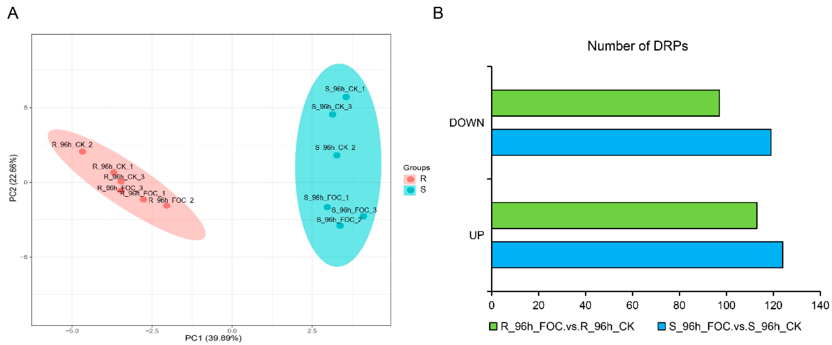 Genes 12 01781 g002 550