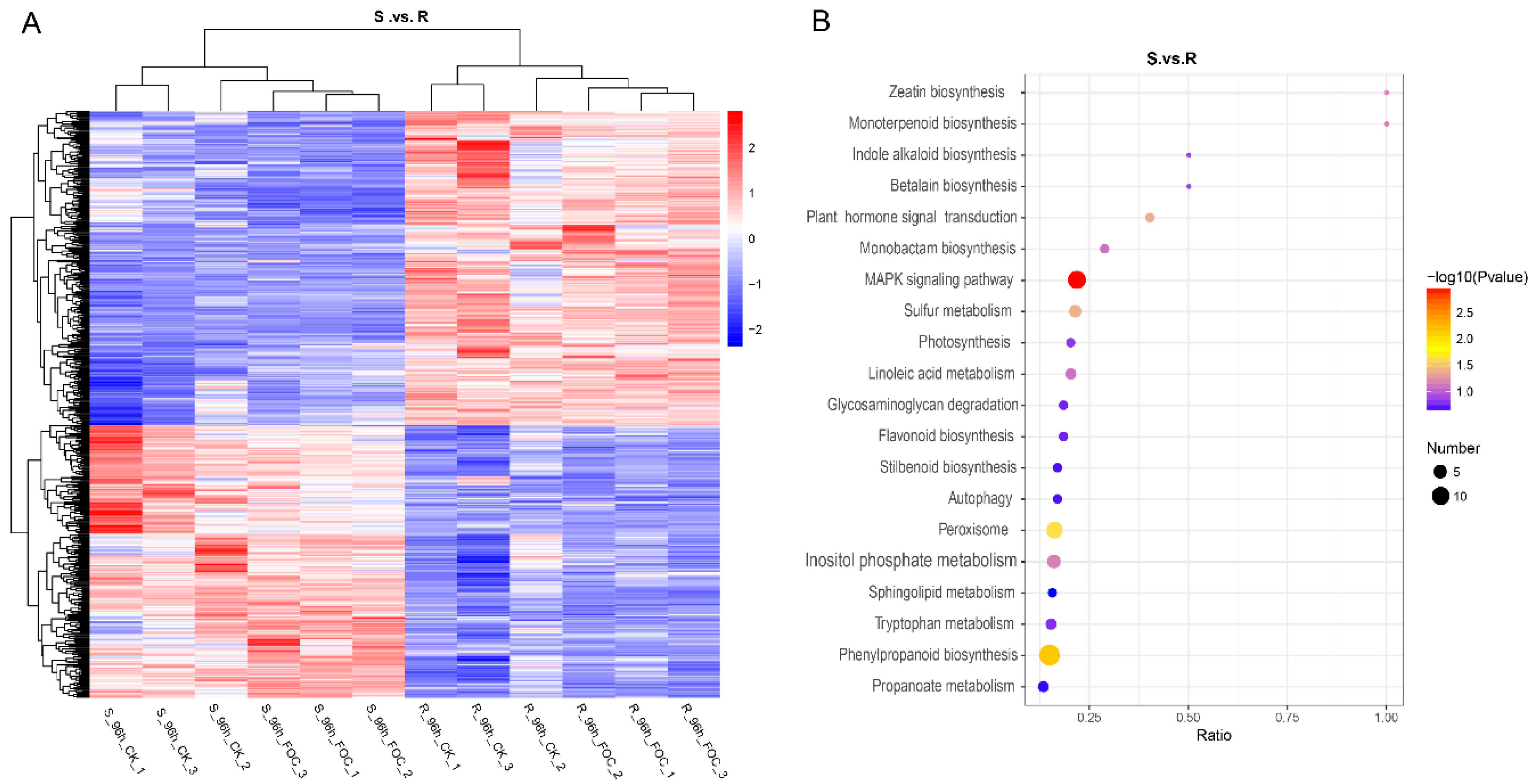 Genes 12 01781 g003 550