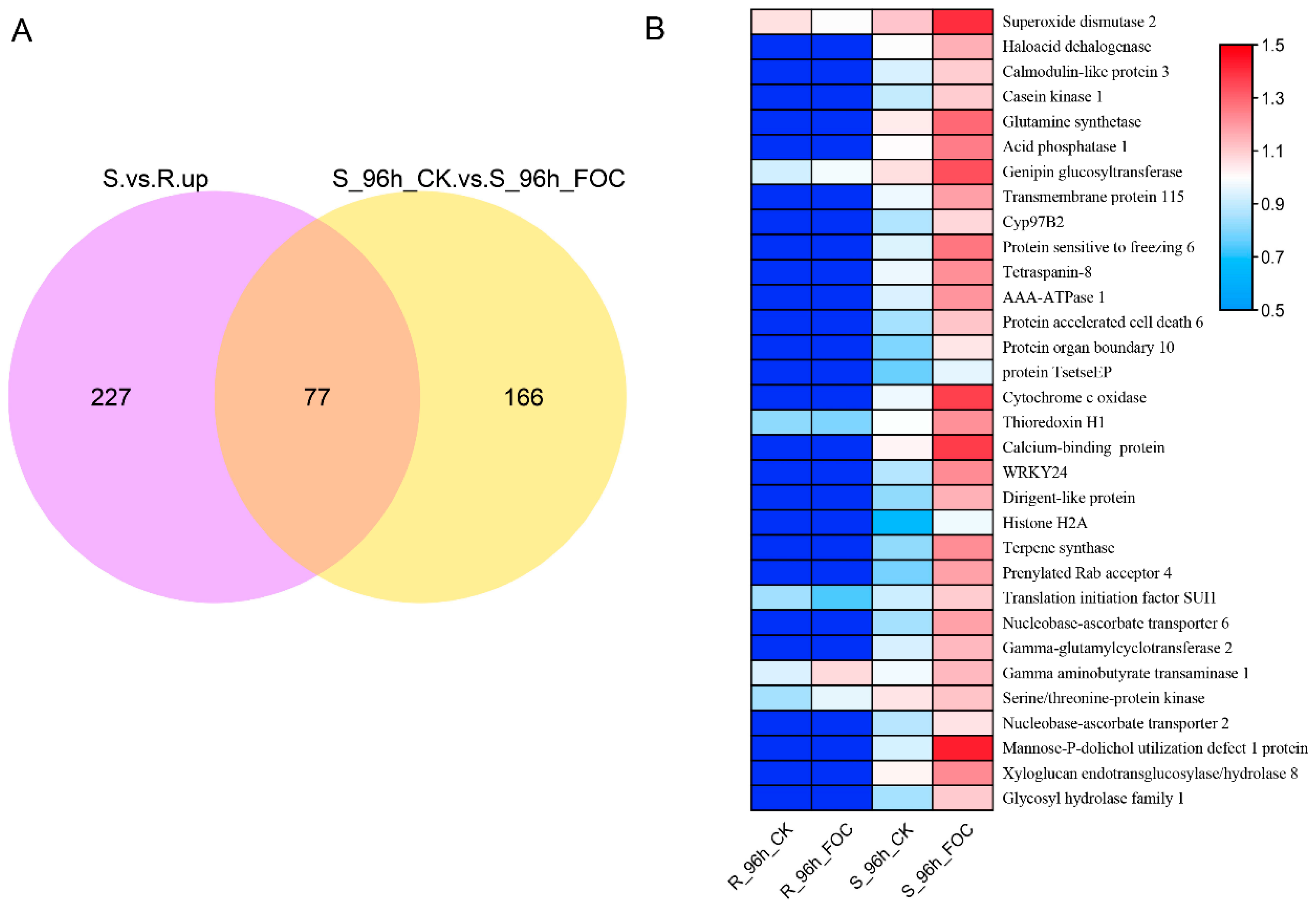 Genes 12 01781 g004 550