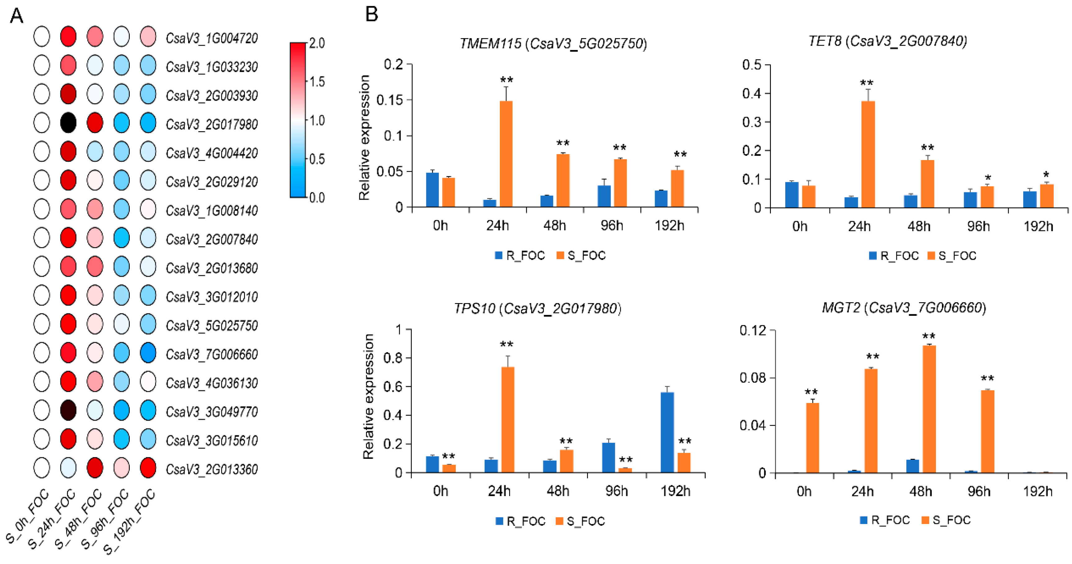 Genes 12 01781 g005 550