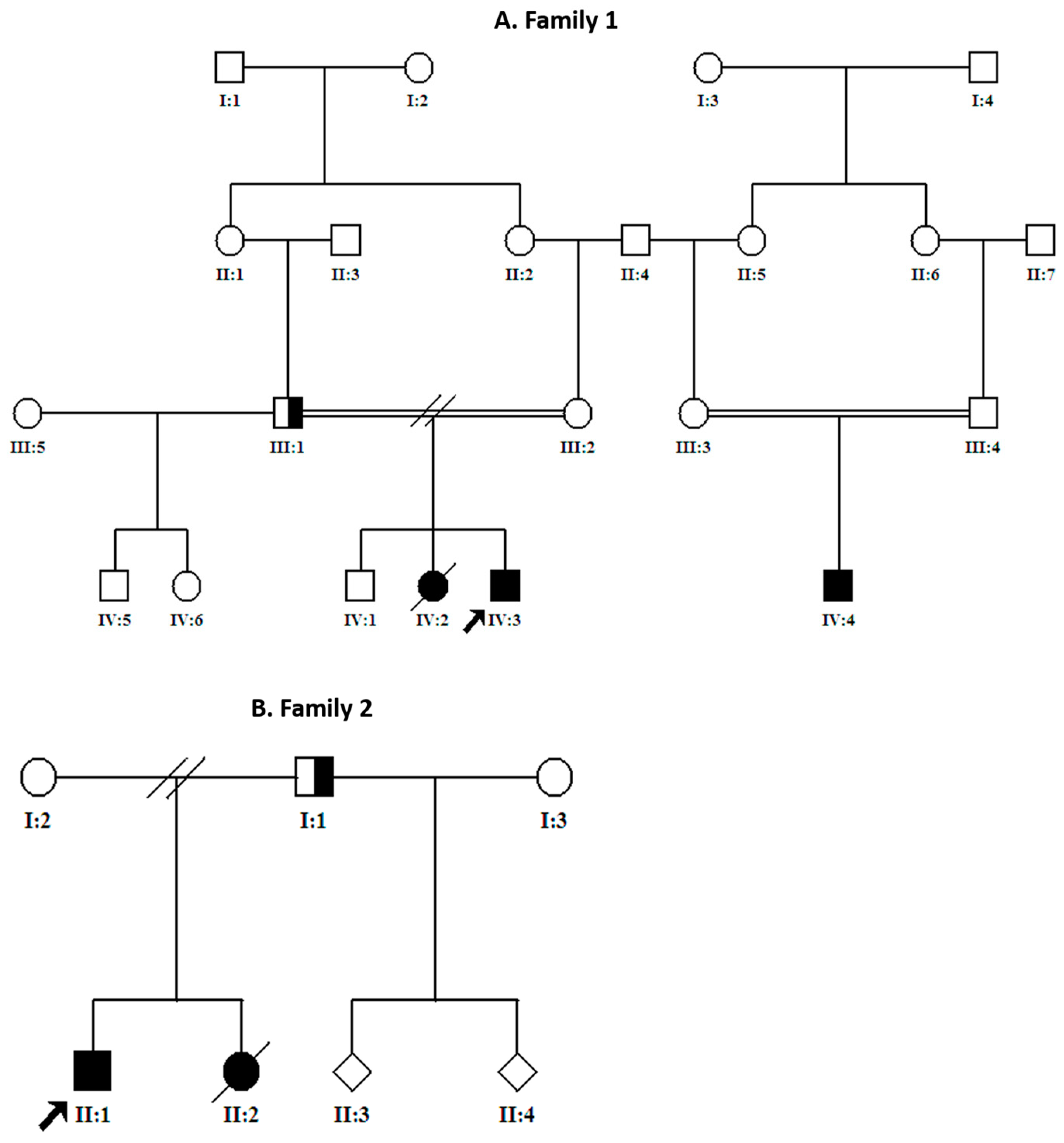 Genes 12 01783 g001 Genes 12 01783 g001