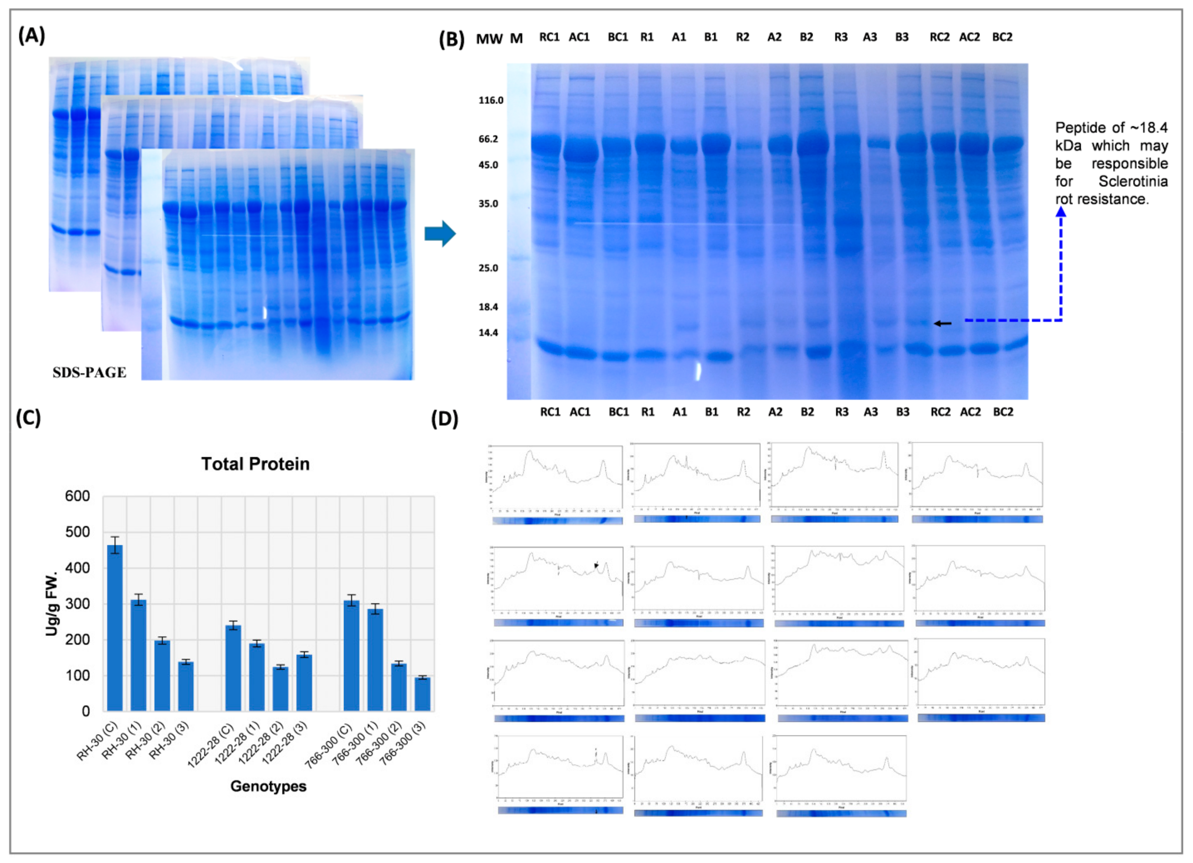 Genes 12 01784 g004