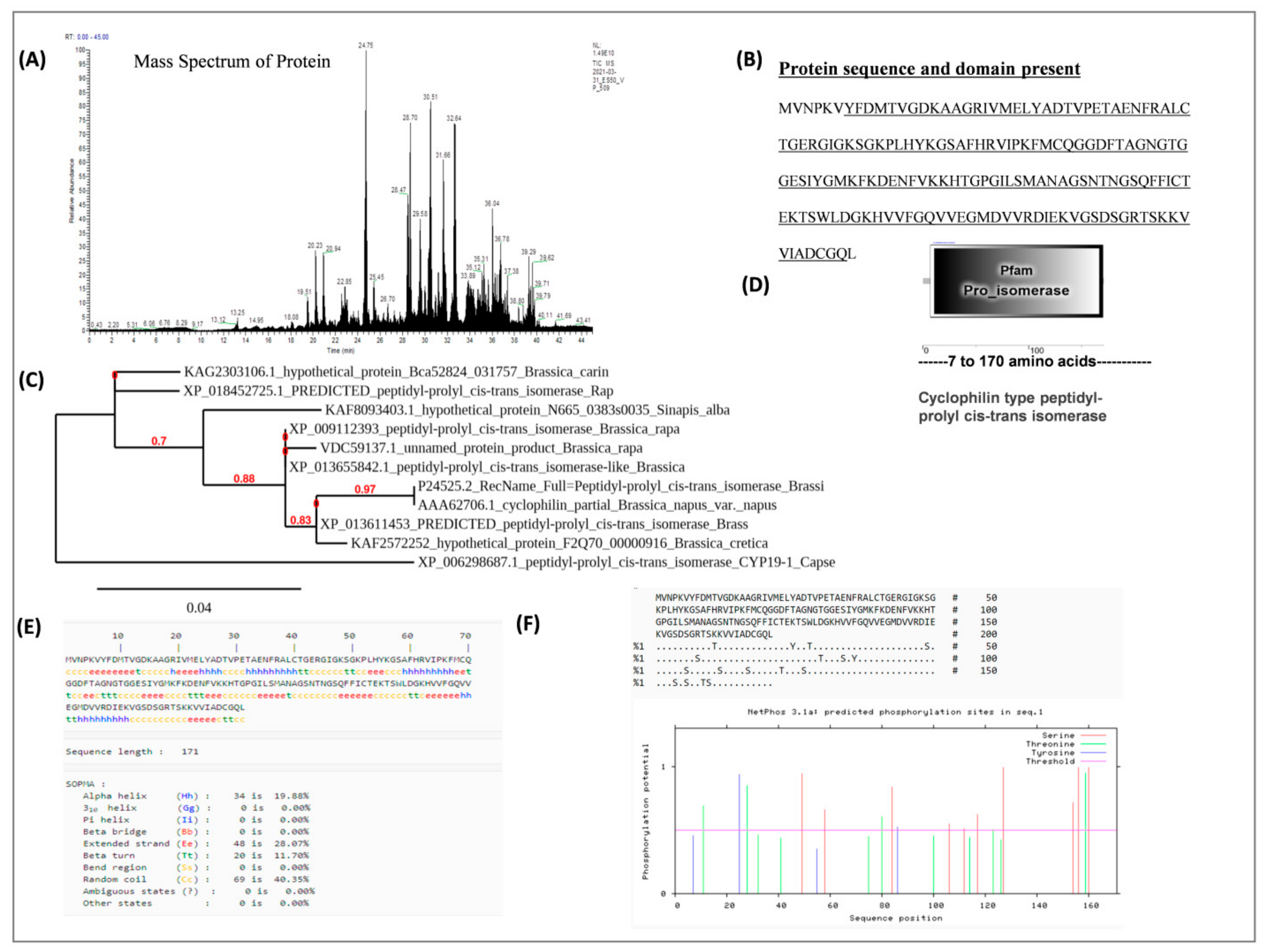Genes 12 01784 g005