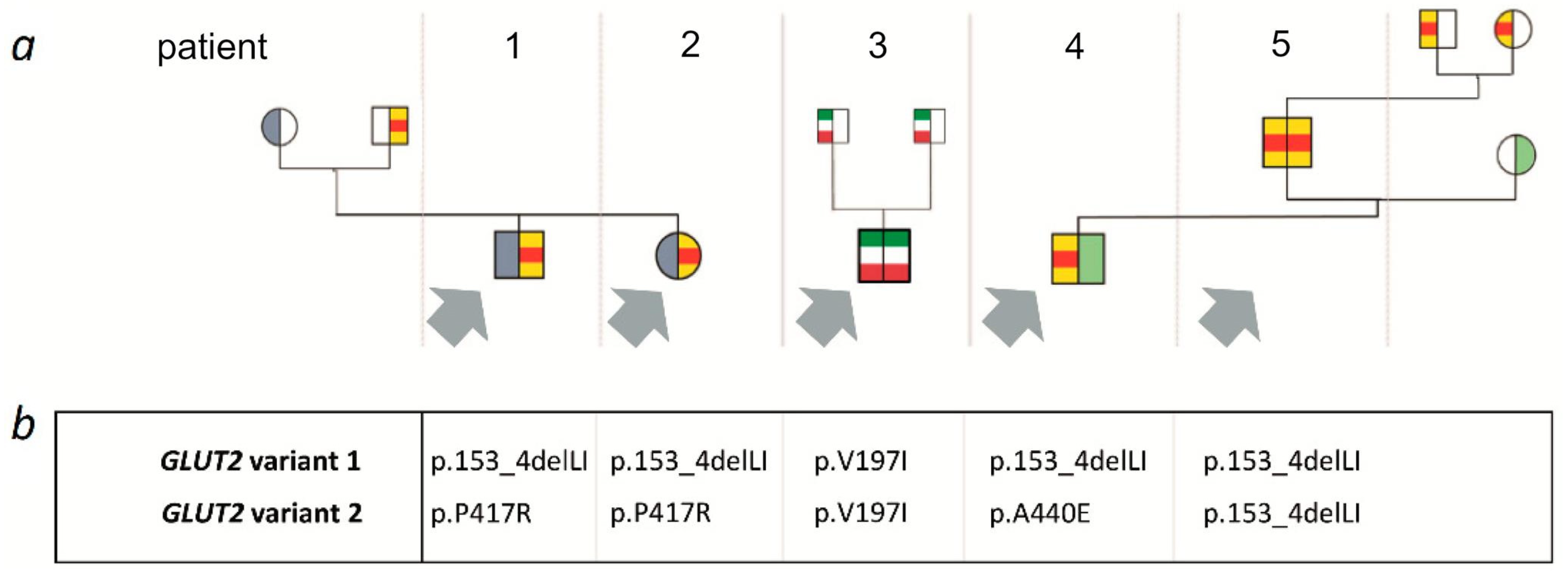 Genes 12 01785 g001 550