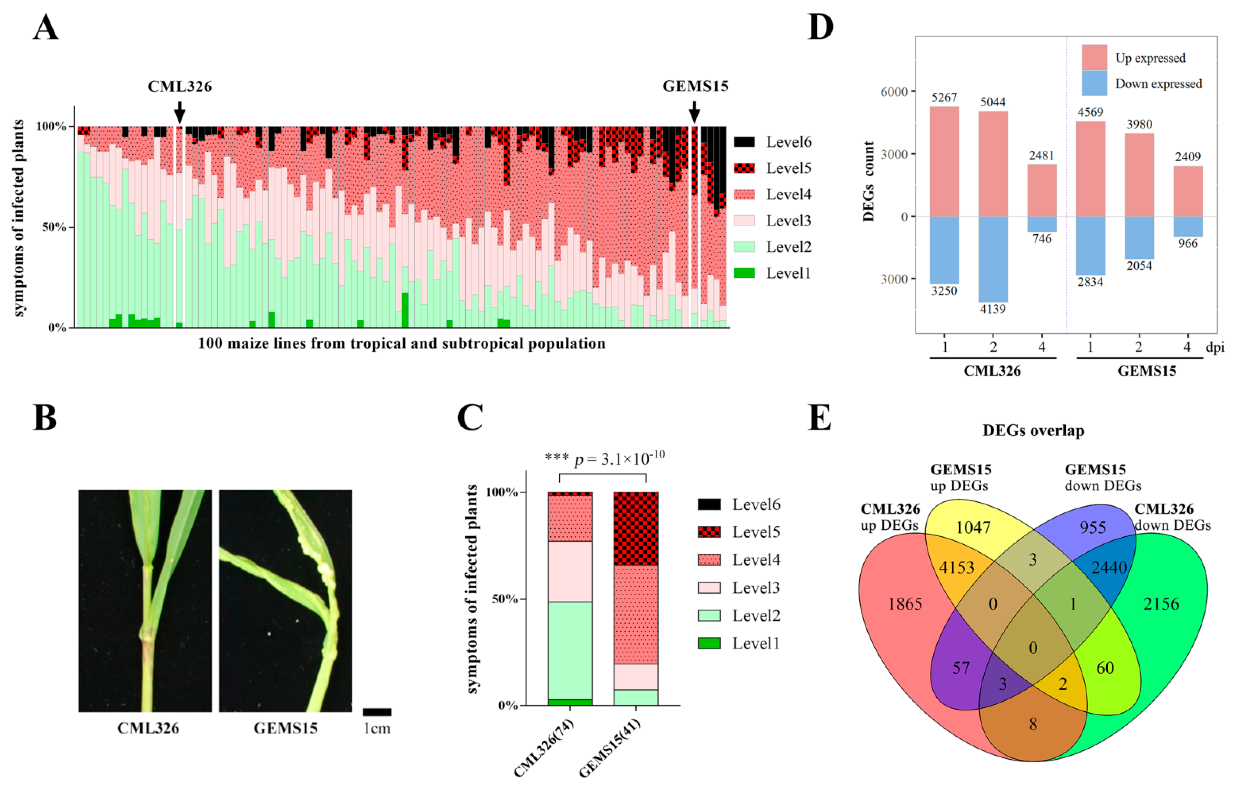 Genes 12 01789 g001 Genes 12 01789 g001