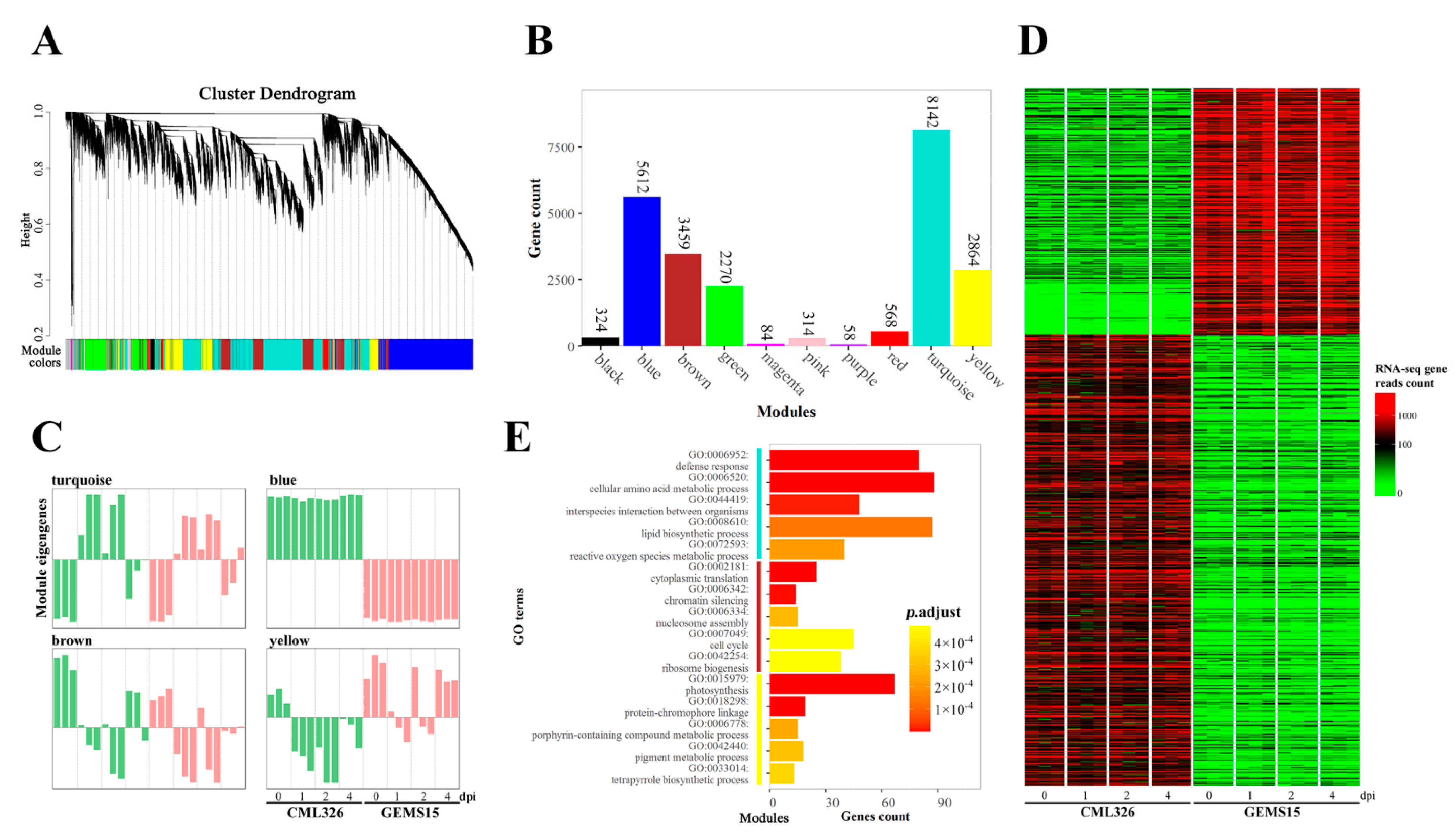 Genes 12 01789 g002 Genes 12 01789 g002