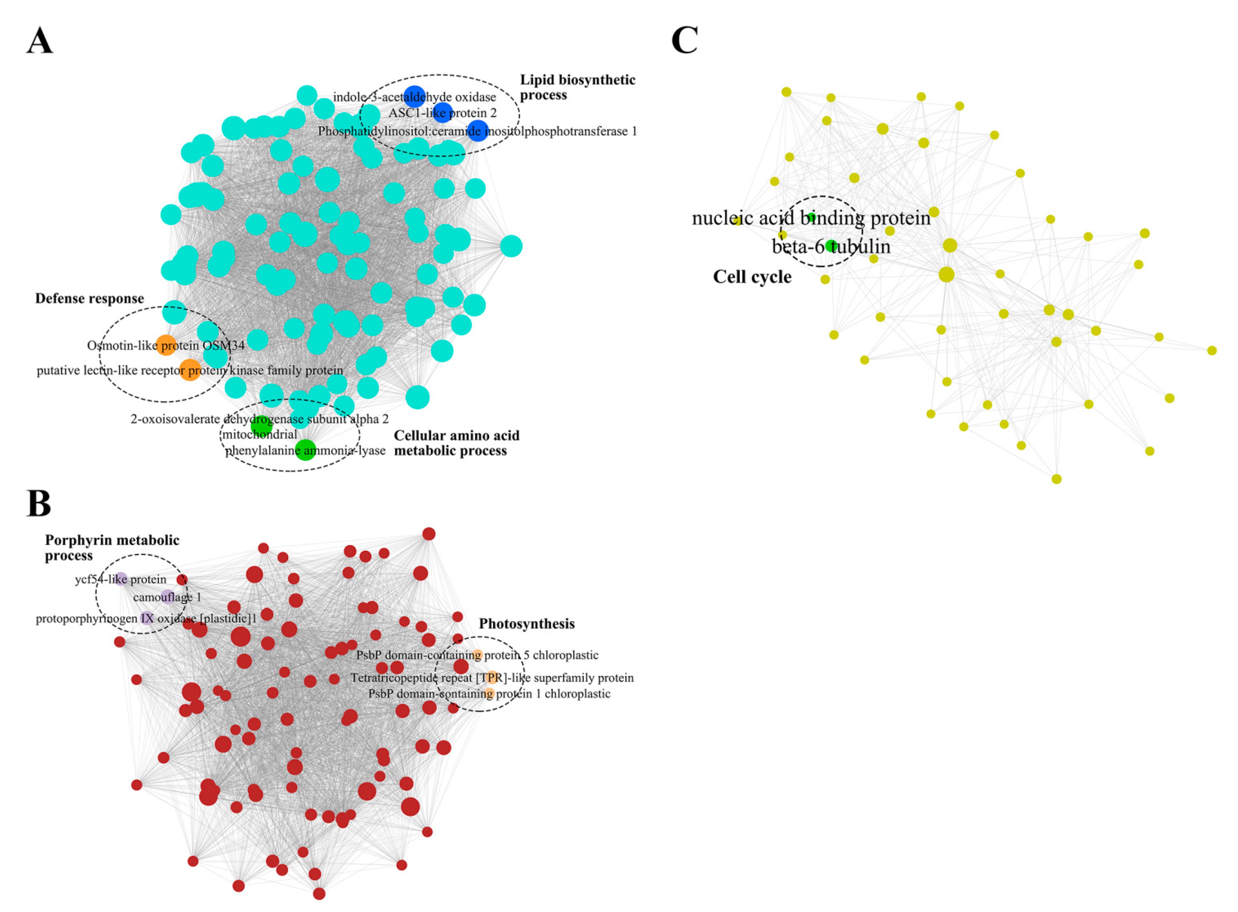 Genes 12 01789 g003 Genes 12 01789 g003