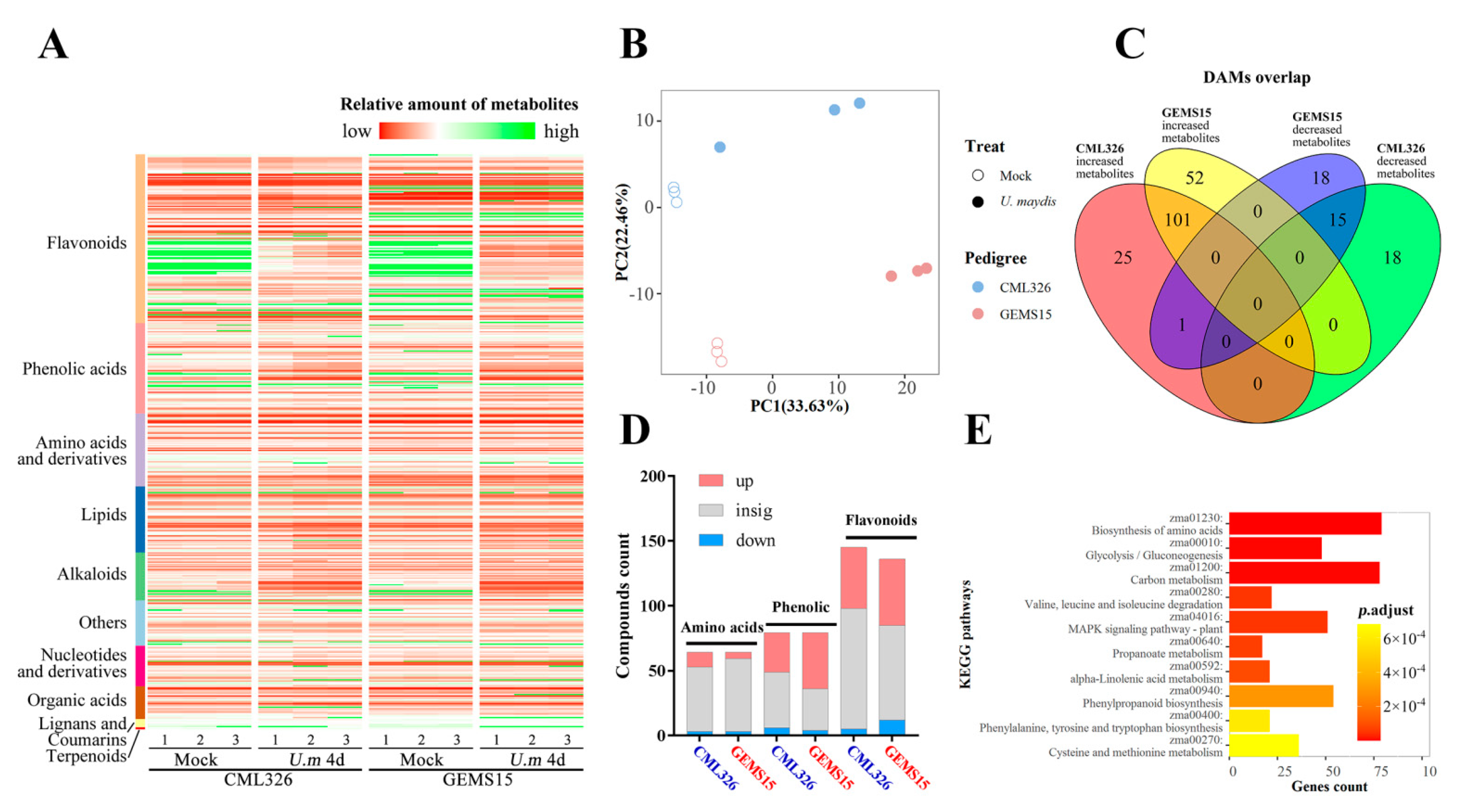Genes 12 01789 g004 Genes 12 01789 g004