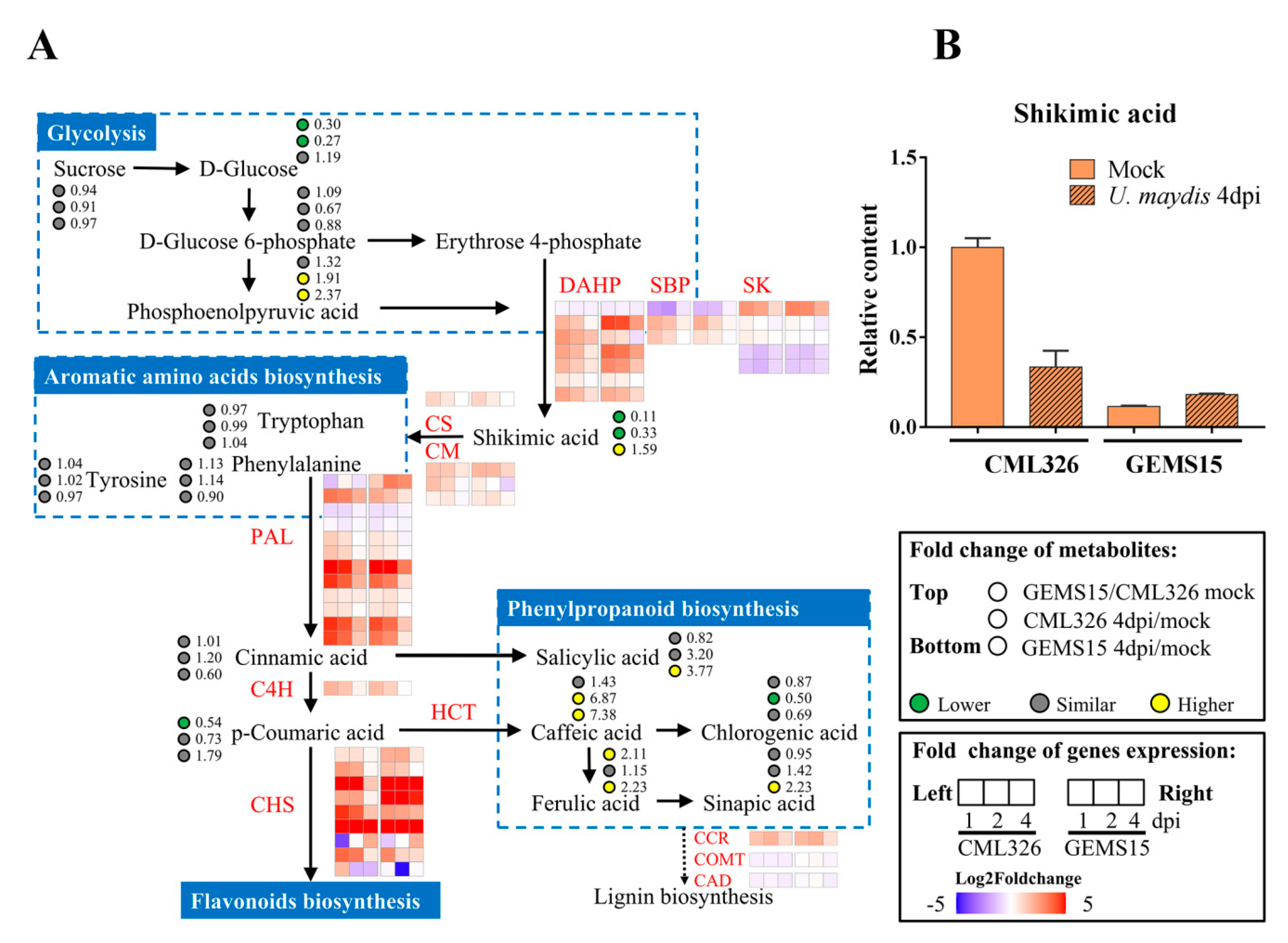 Genes 12 01789 g005 Genes 12 01789 g005