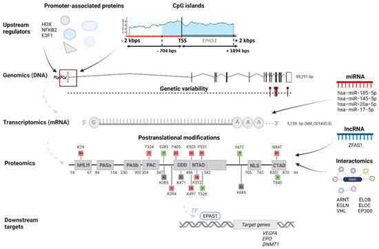 (PDF) Identification of de novo EP300 and PLAU variants in a