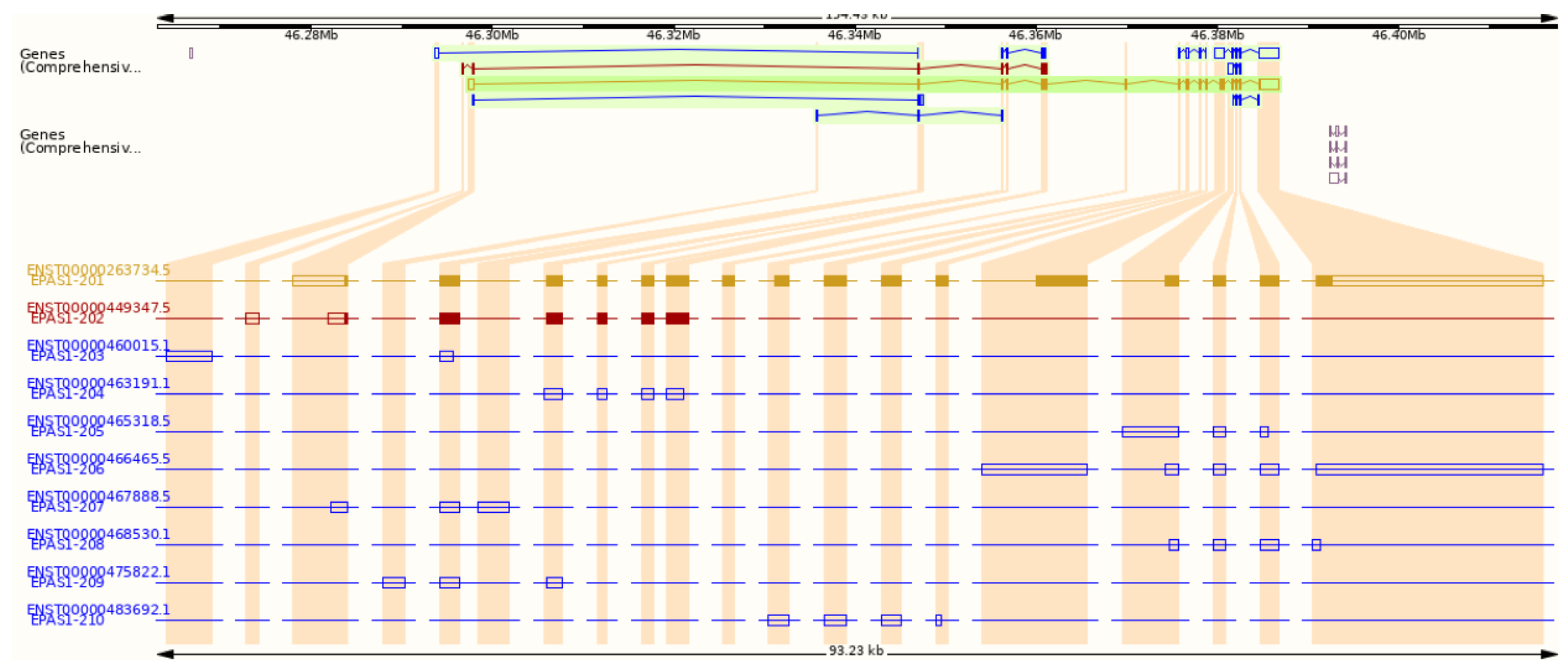 Genes 12 01793 g002 Genes 12 01793 g002