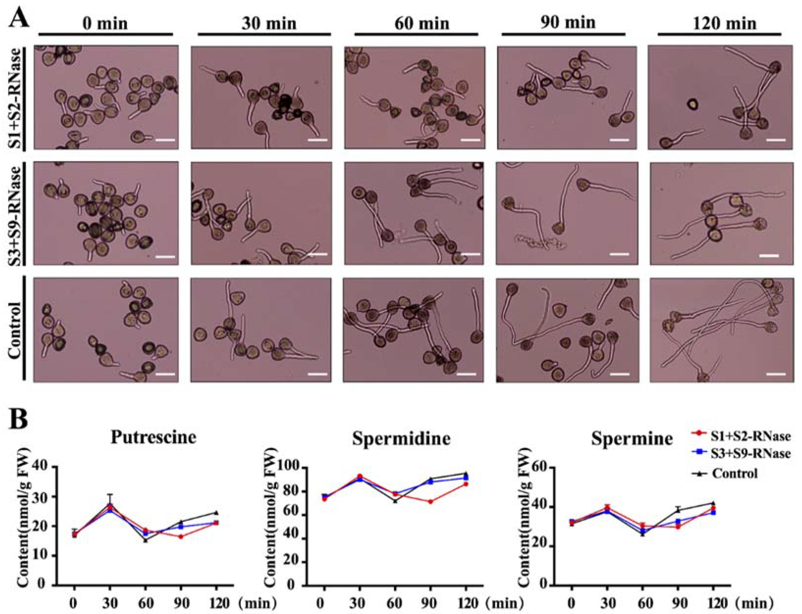 Genes 12 01797 g001 550