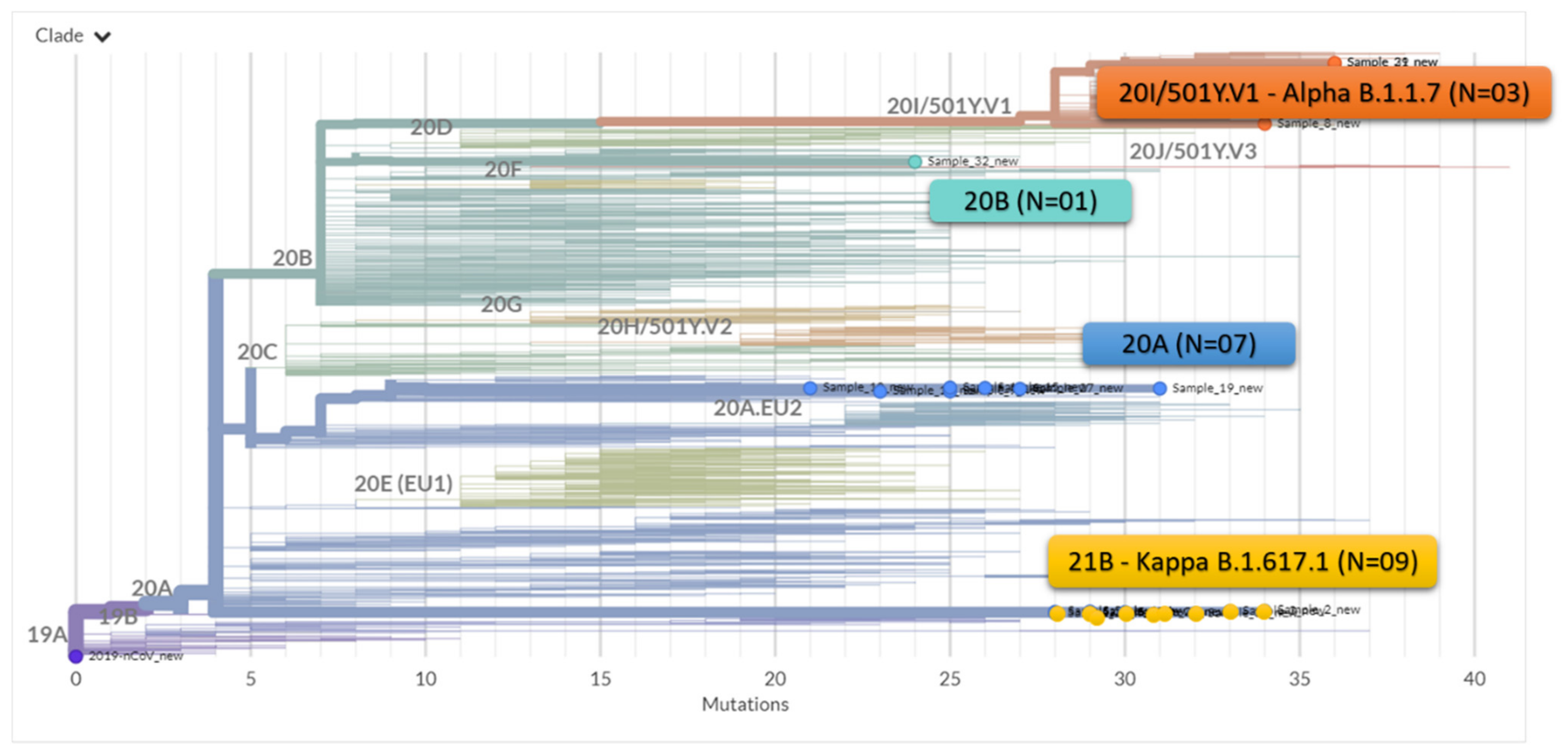 Genes 12 01803 g005