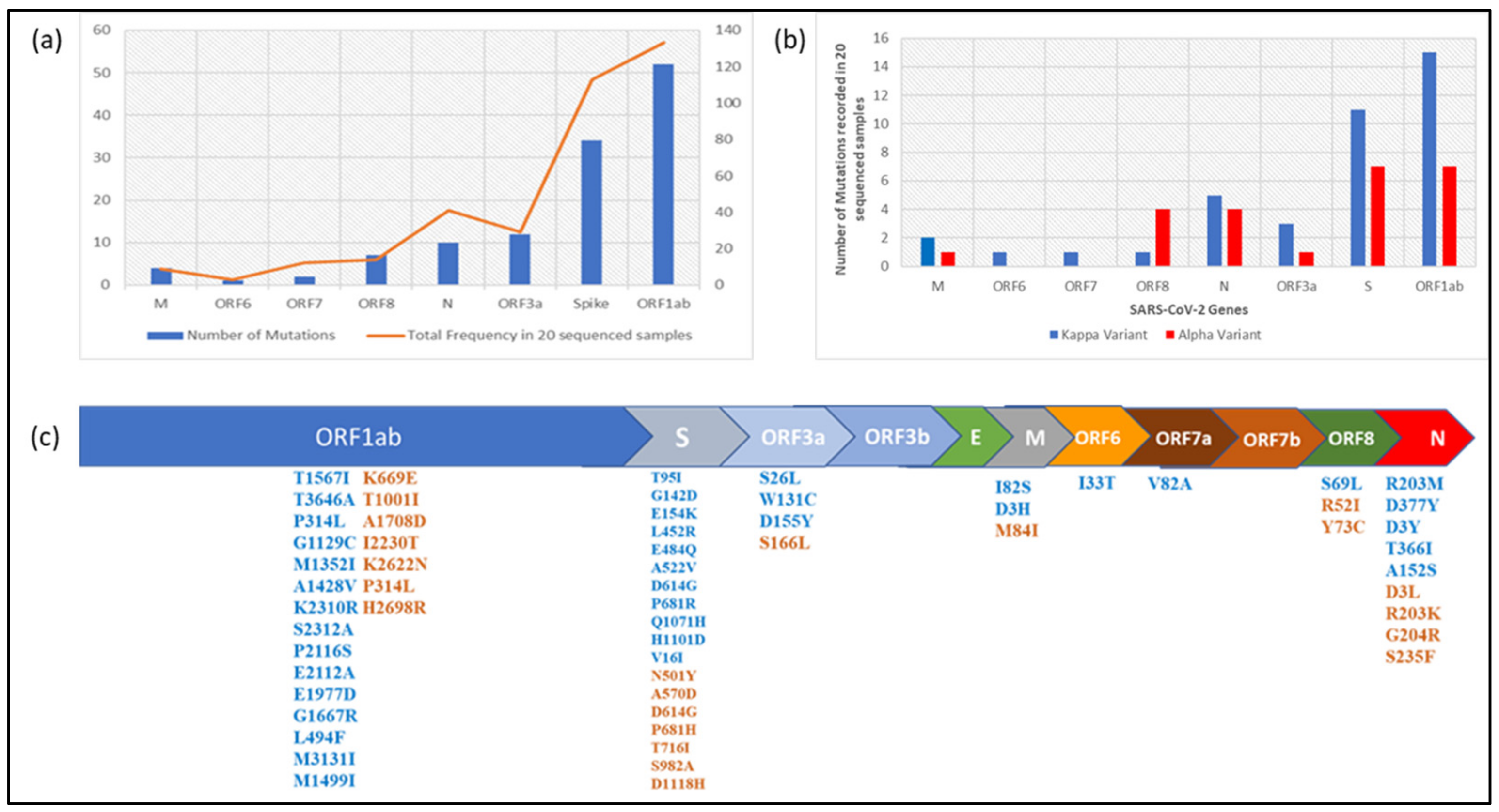 Genes 12 01803 g006