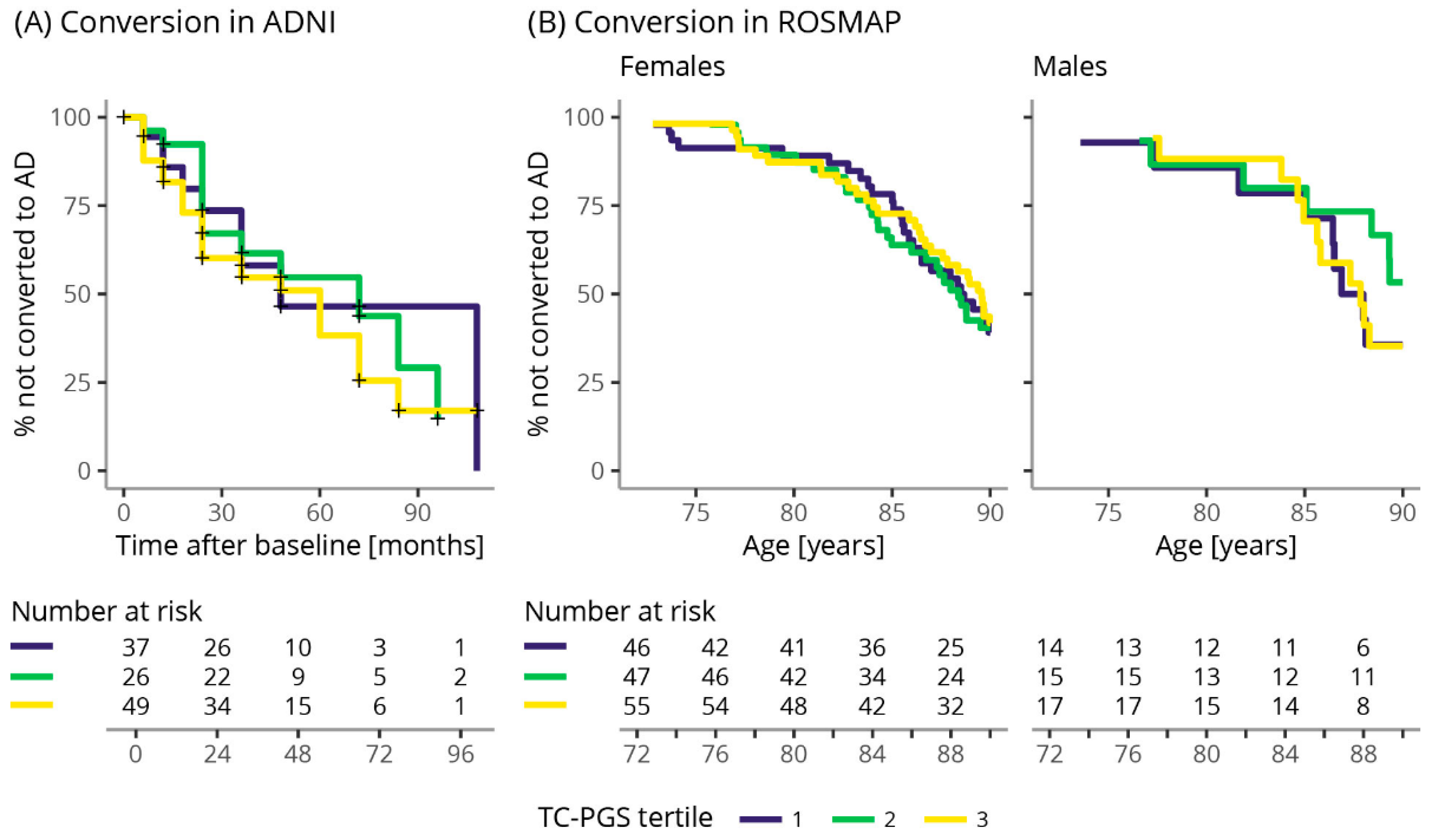 Genes Free Full Text Association Of A Total Cholesterol Polygenic Score With Cholesterol Levels And Pathological Biomarkers Across The Alzheimer S Disease Spectrum Html
