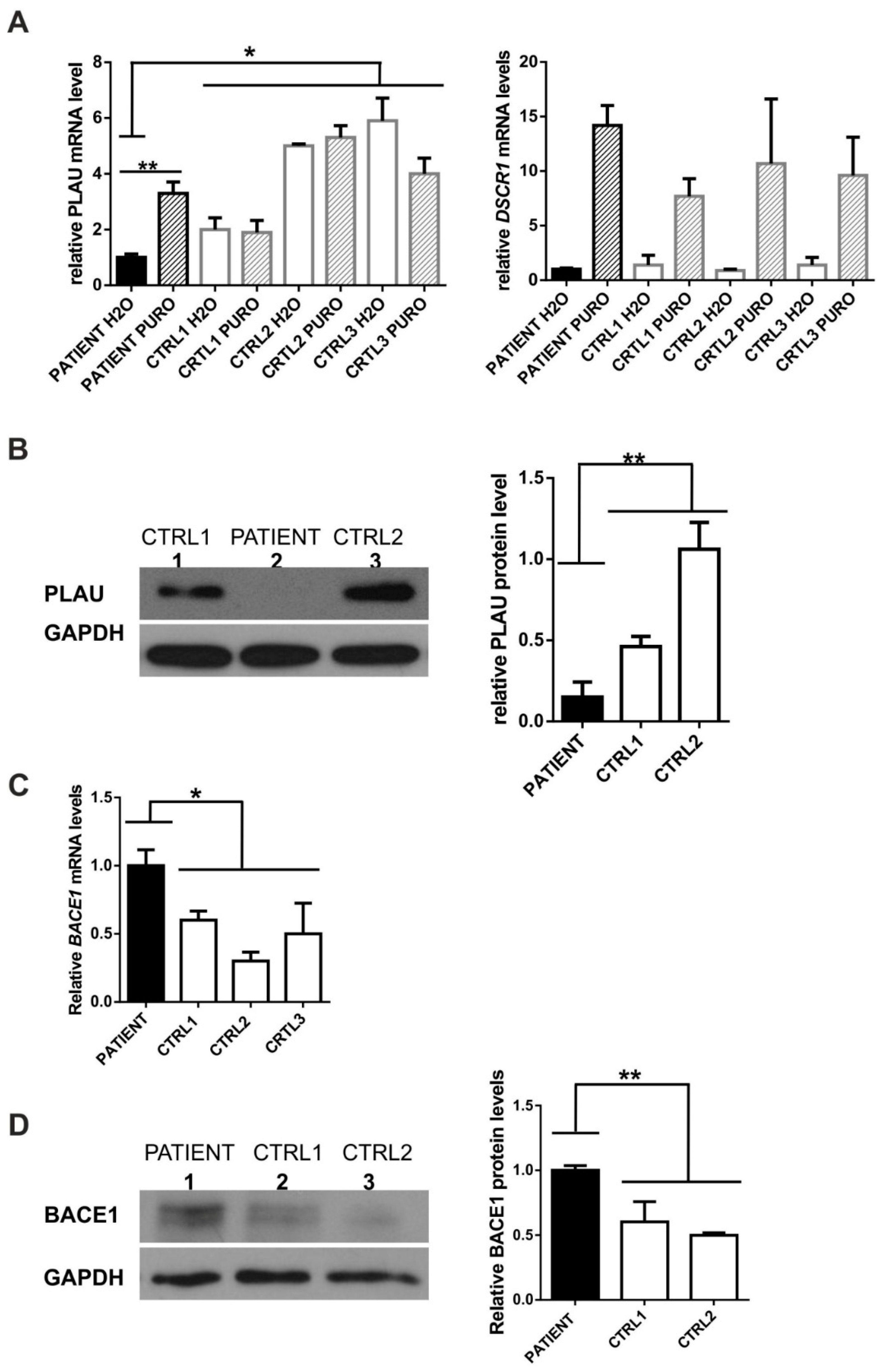 Genes 12 01806 g002 550