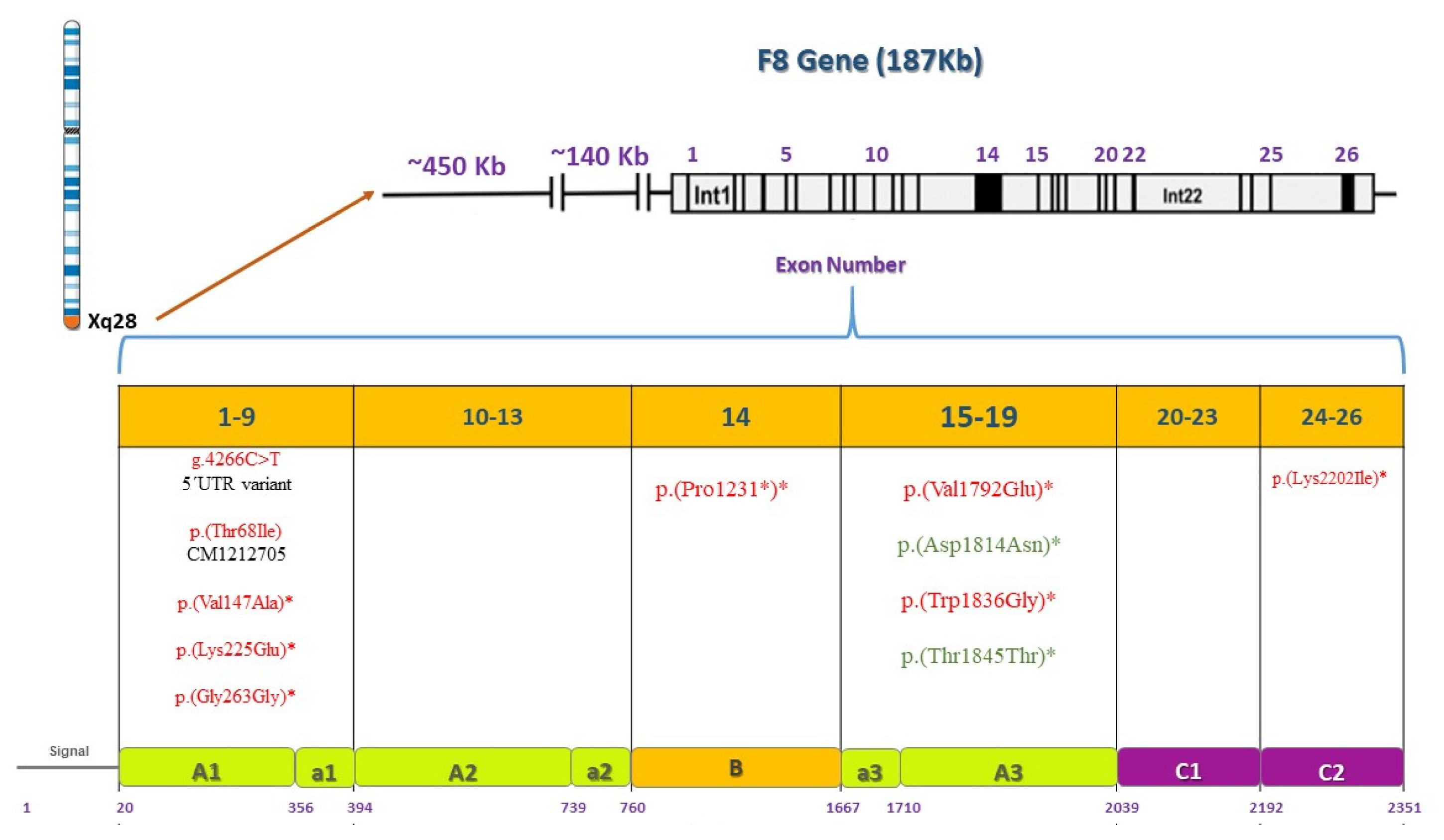 Genes 12 01807 g008