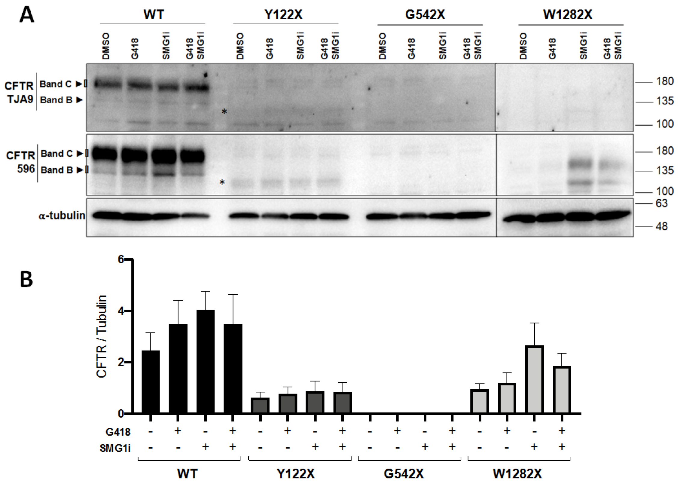 Genes 12 01810 g003 Genes 12 01810 g003