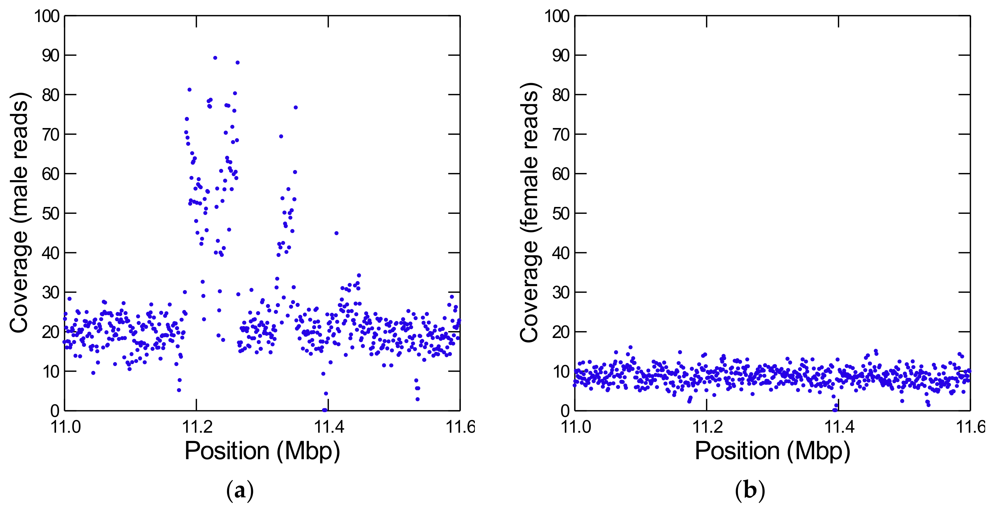 Genes 12 01815 g002 Genes 12 01815 g002