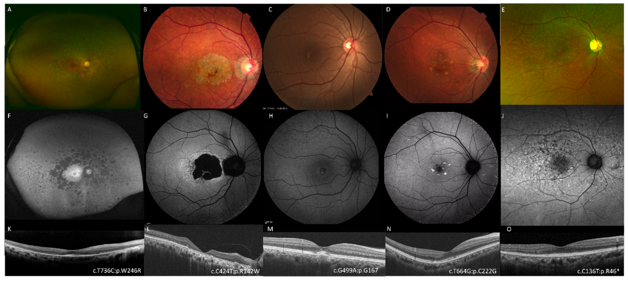 Genes 12 01817 g001 Genes 12 01817 g001