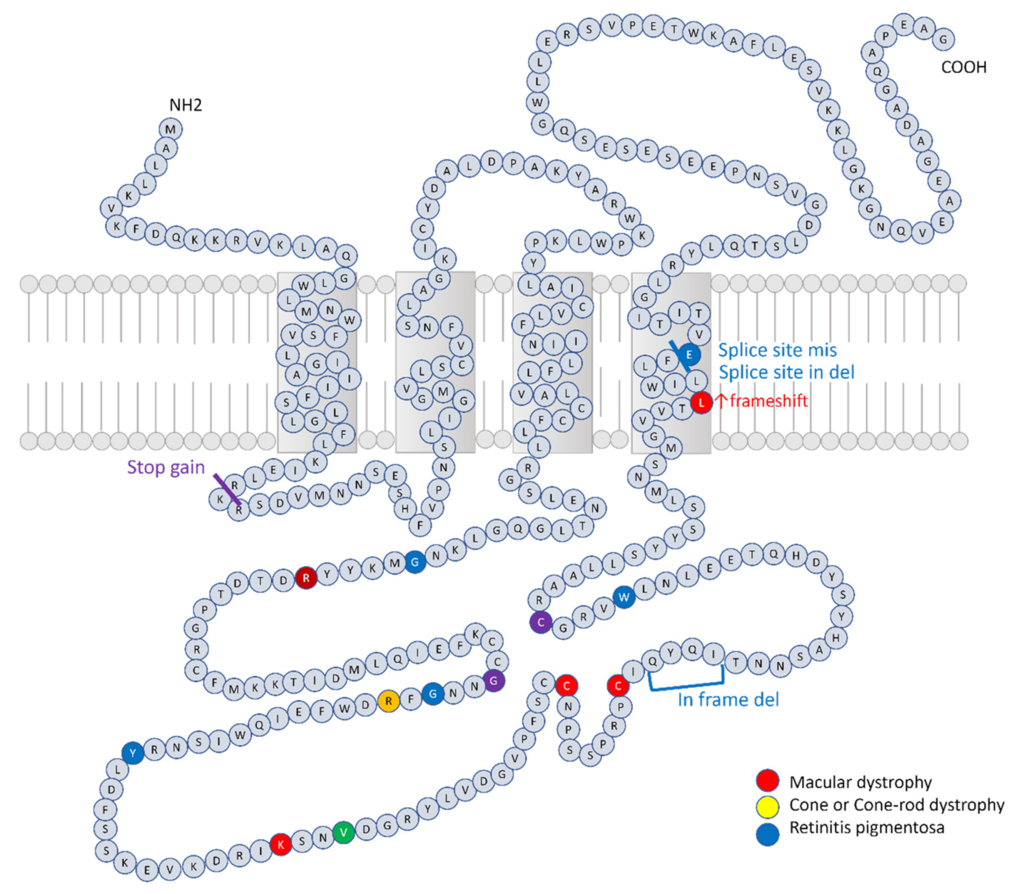 Genes 12 01817 g004 Genes 12 01817 g004