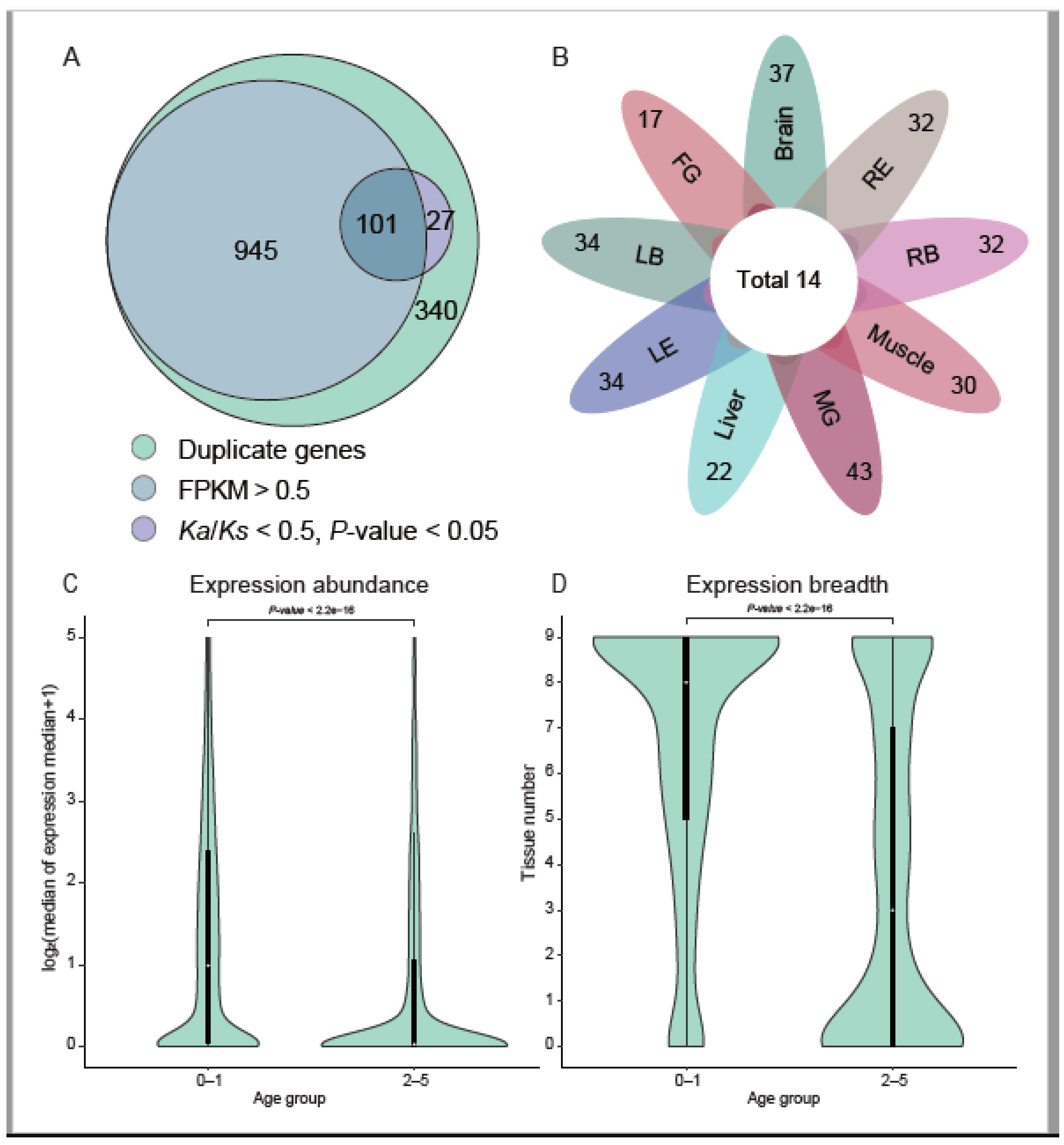 Genes 12 01819 g002
