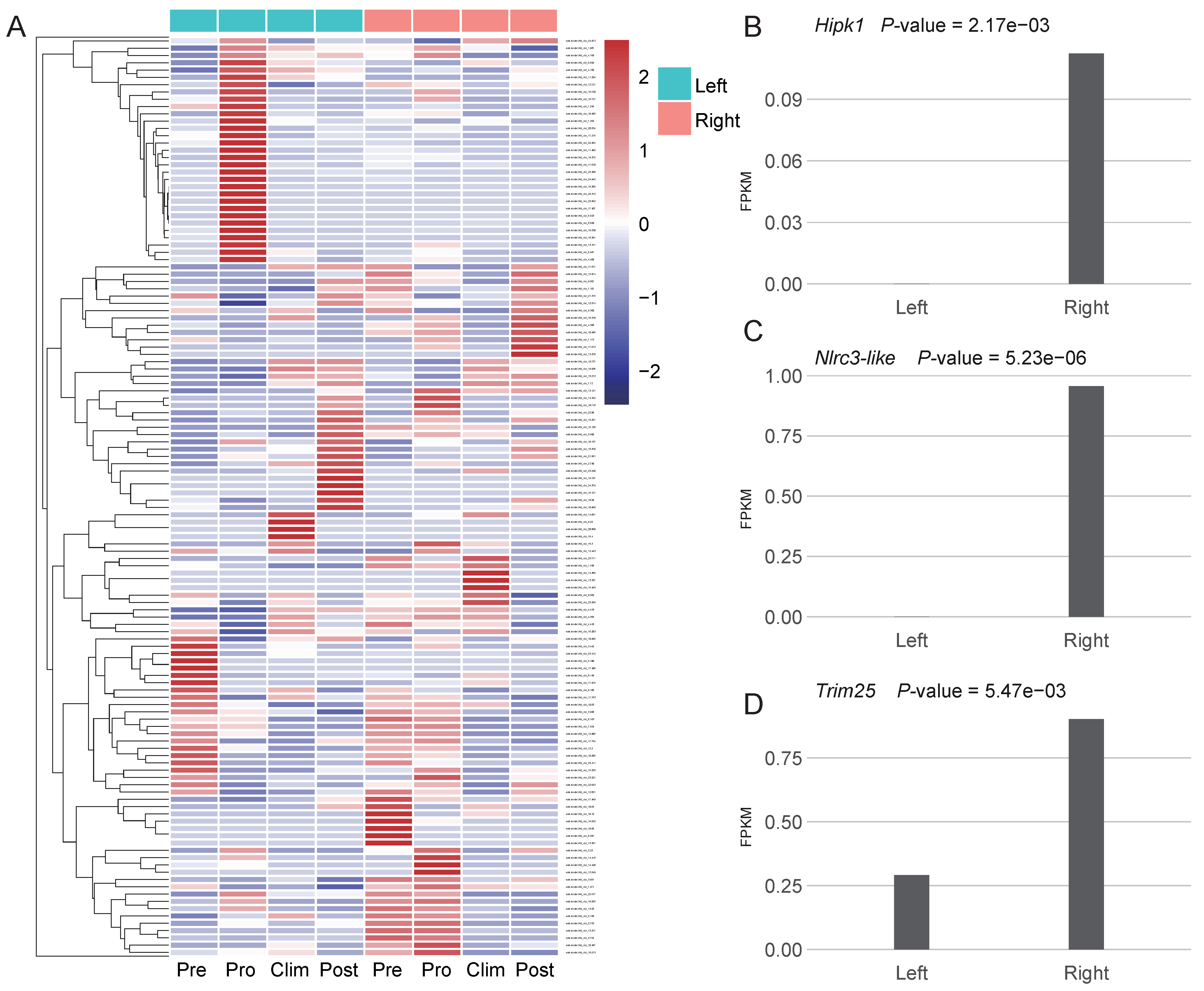 Genes 12 01819 g003