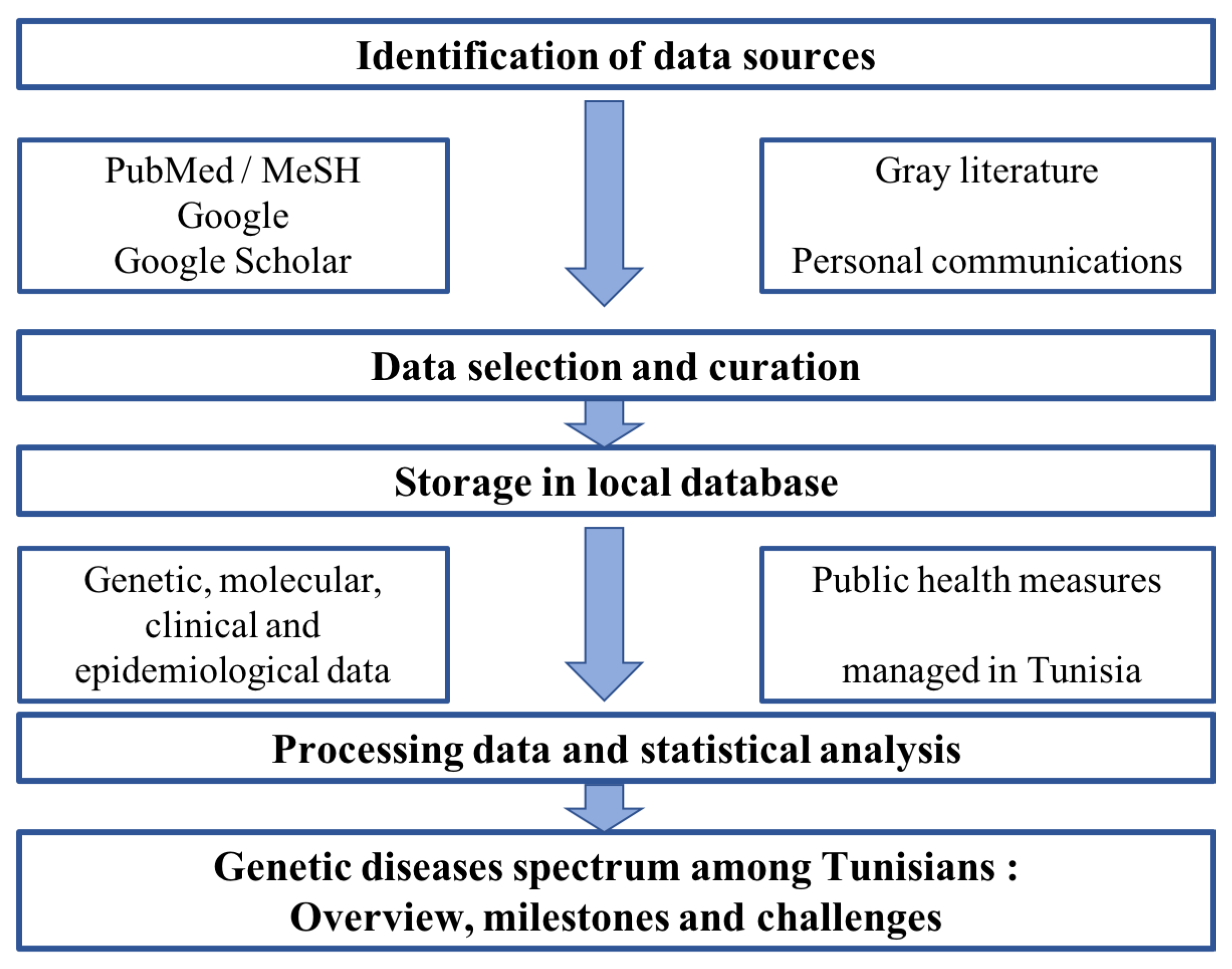 Genes 12 01820 g001