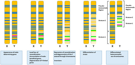 Genes, Free Full-Text