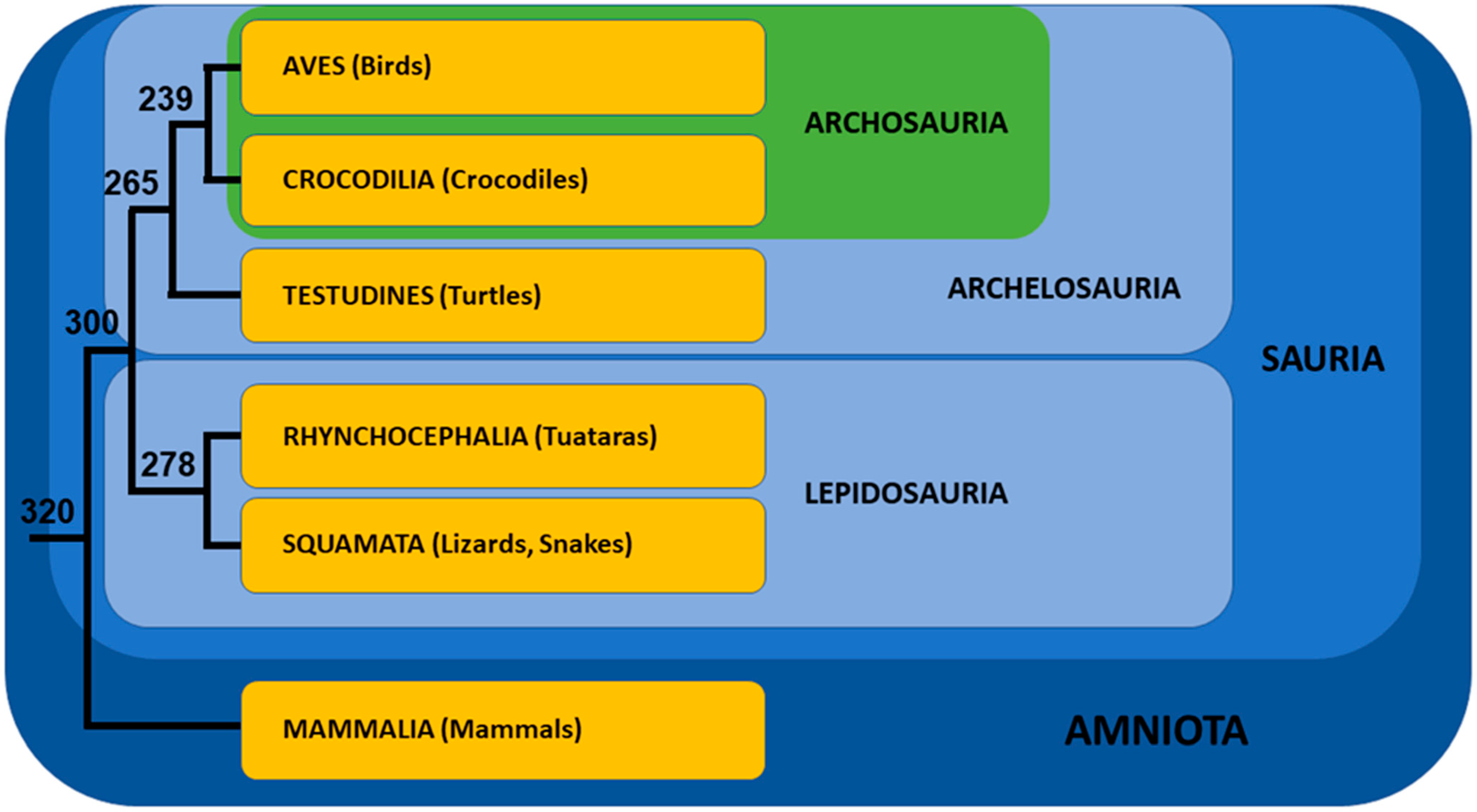 Genes 12 01822 g002 Genes 12 01822 g002