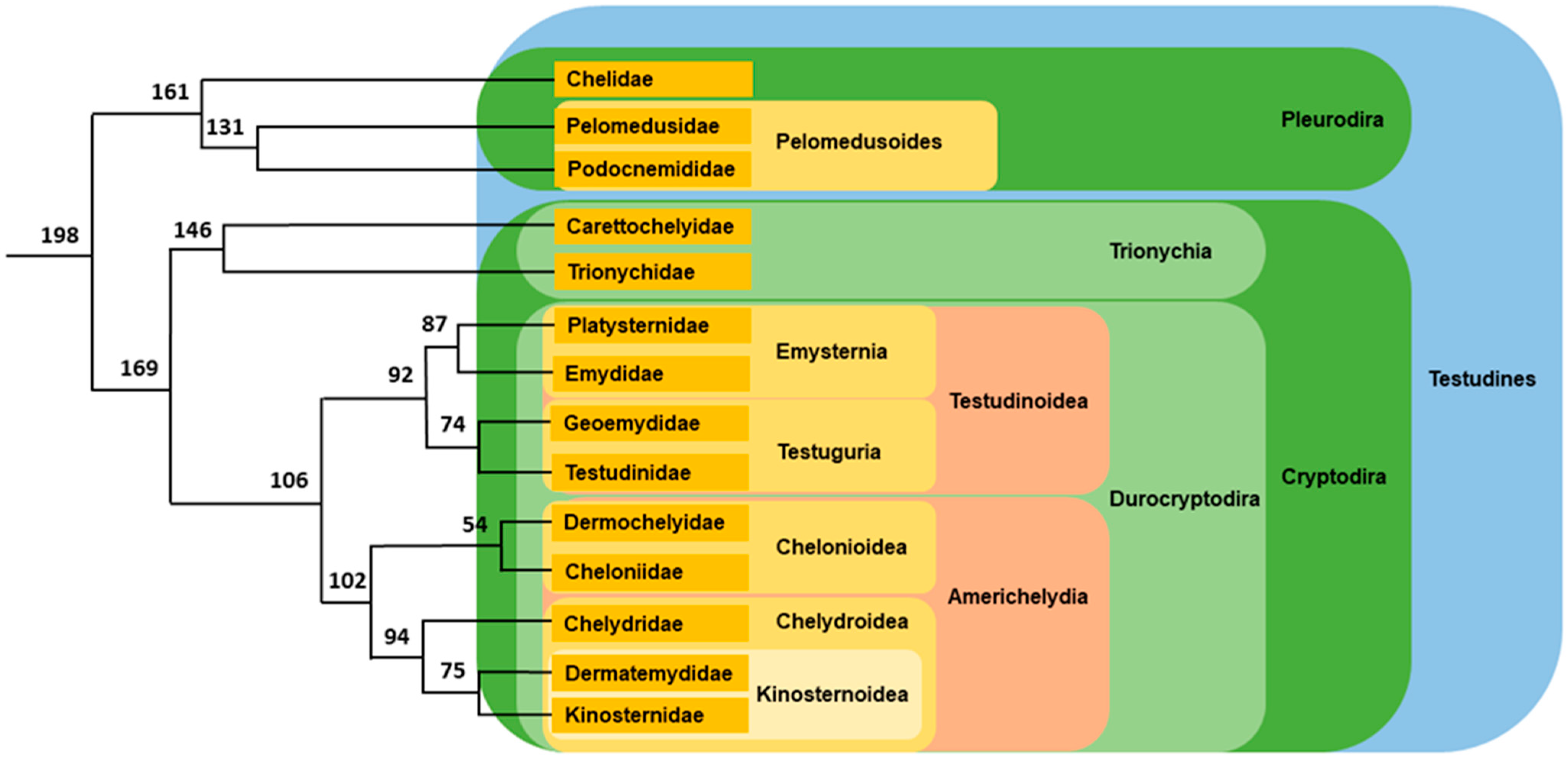 Genes 12 01822 g003 Genes 12 01822 g003